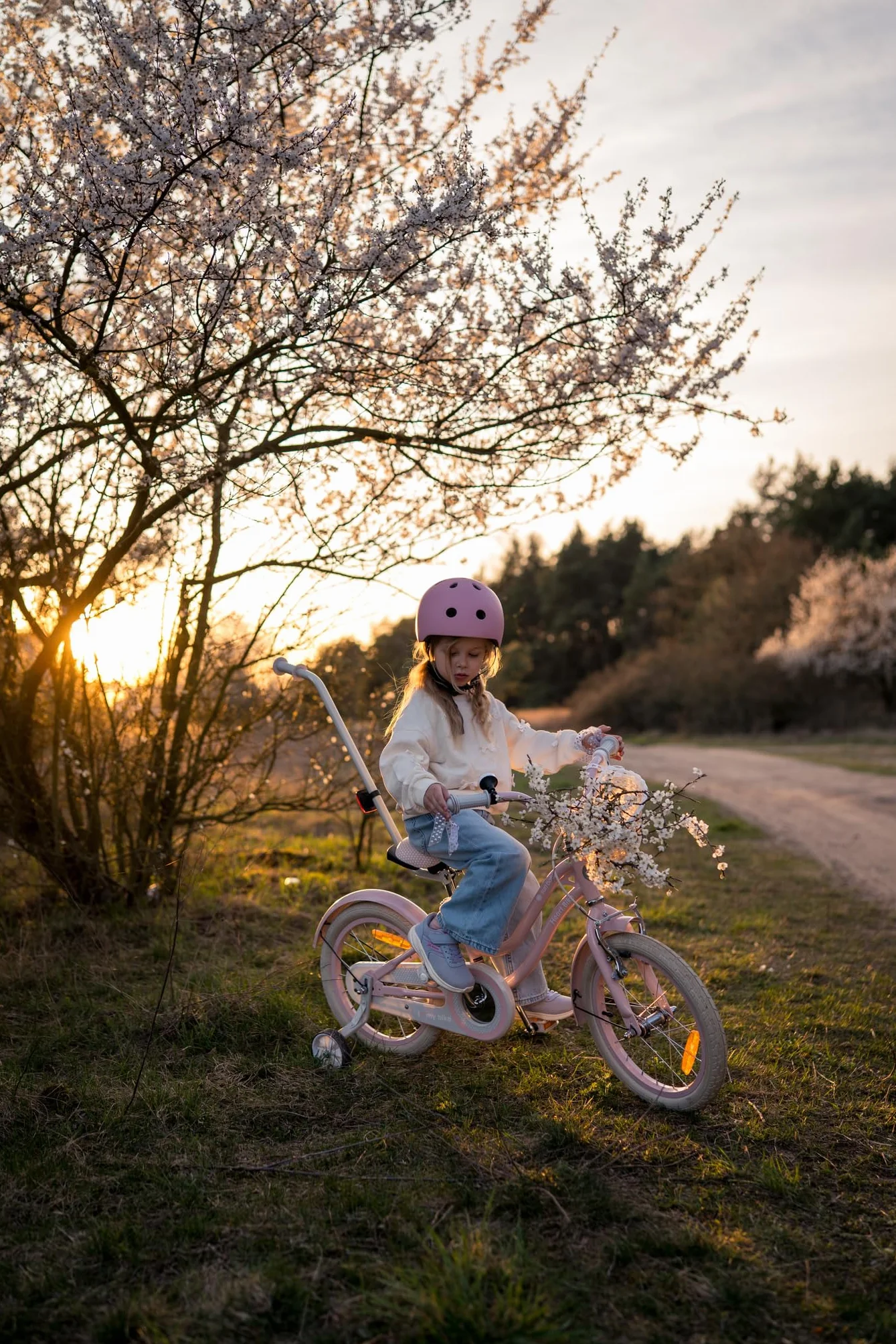 sun baby Heart Bike Bicicleta Infantil para niña 12/14/16 Pulgadas, con ruedines, Barra de Empuje, Cesta, Timbre, Freno contrapedal y V-Brake