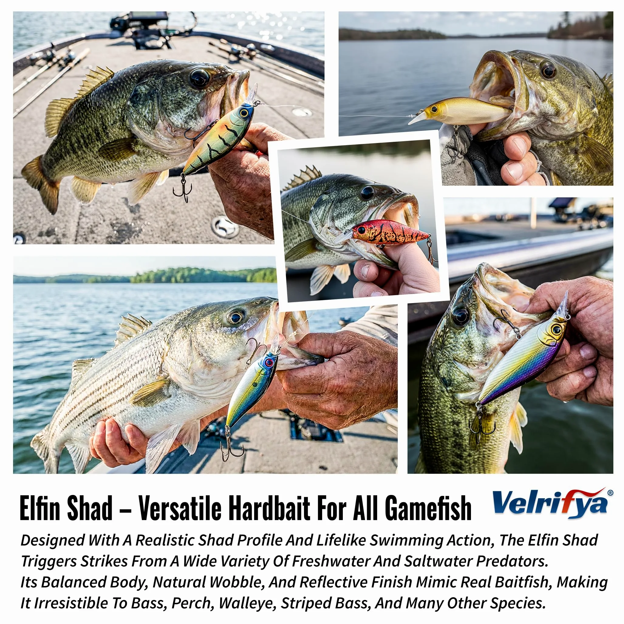 Crankbaits/Jerkbait híbridos para pesca de lubina, buceo poco profundo, para lucio, lucio, agua fría para pesca de invierno y primavera, para agua dulce y salada
