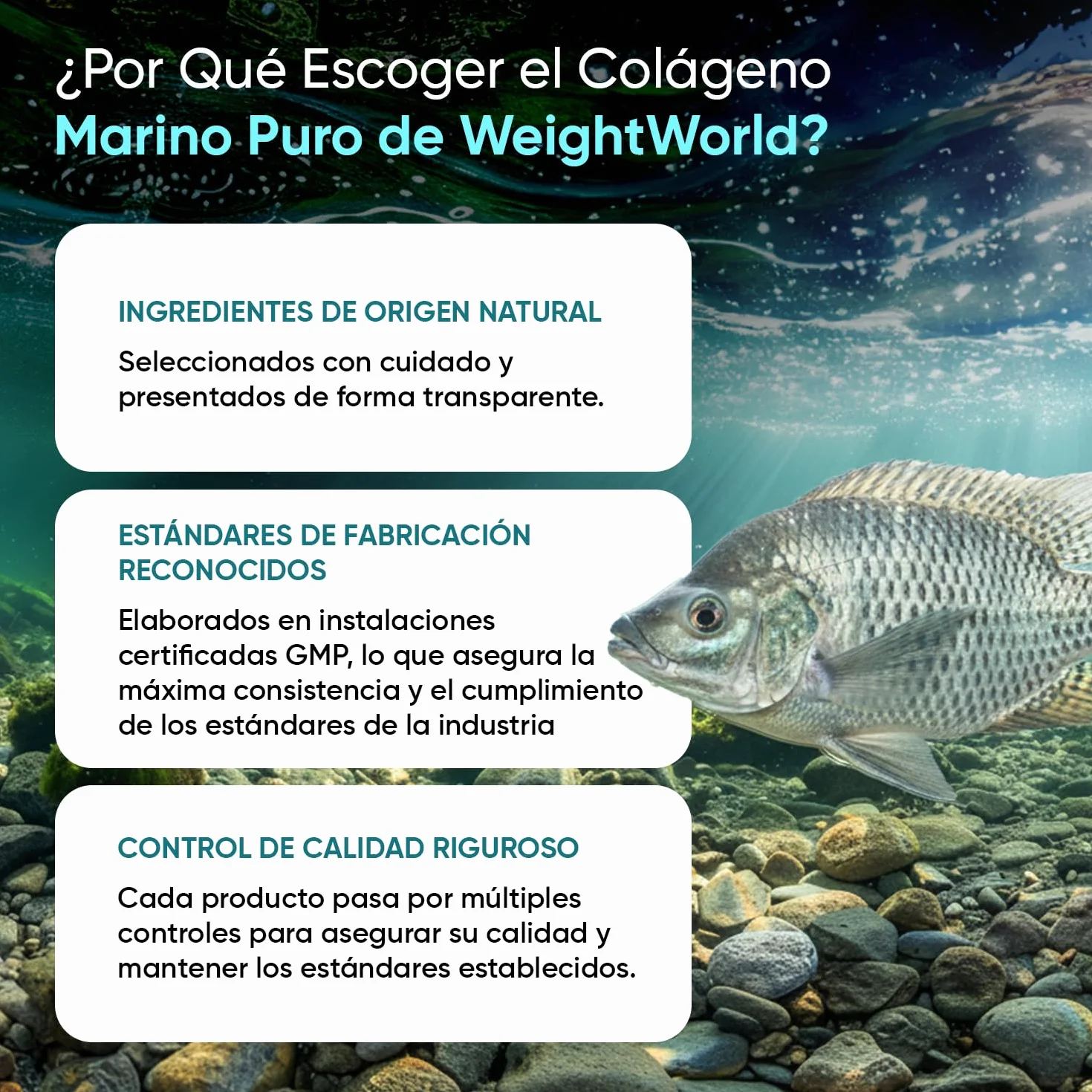 Colágeno Marino Hidrolizado 100% Puro 1200 mg - 120 Cápsulas de Péptidos de Colágeno de Pescado Hidrolizado Tipo I y III