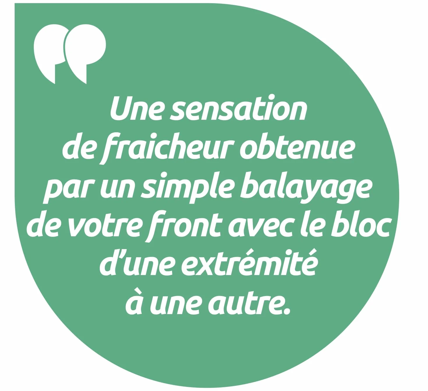 MACARON AU MENTHOL SALVA GM BA