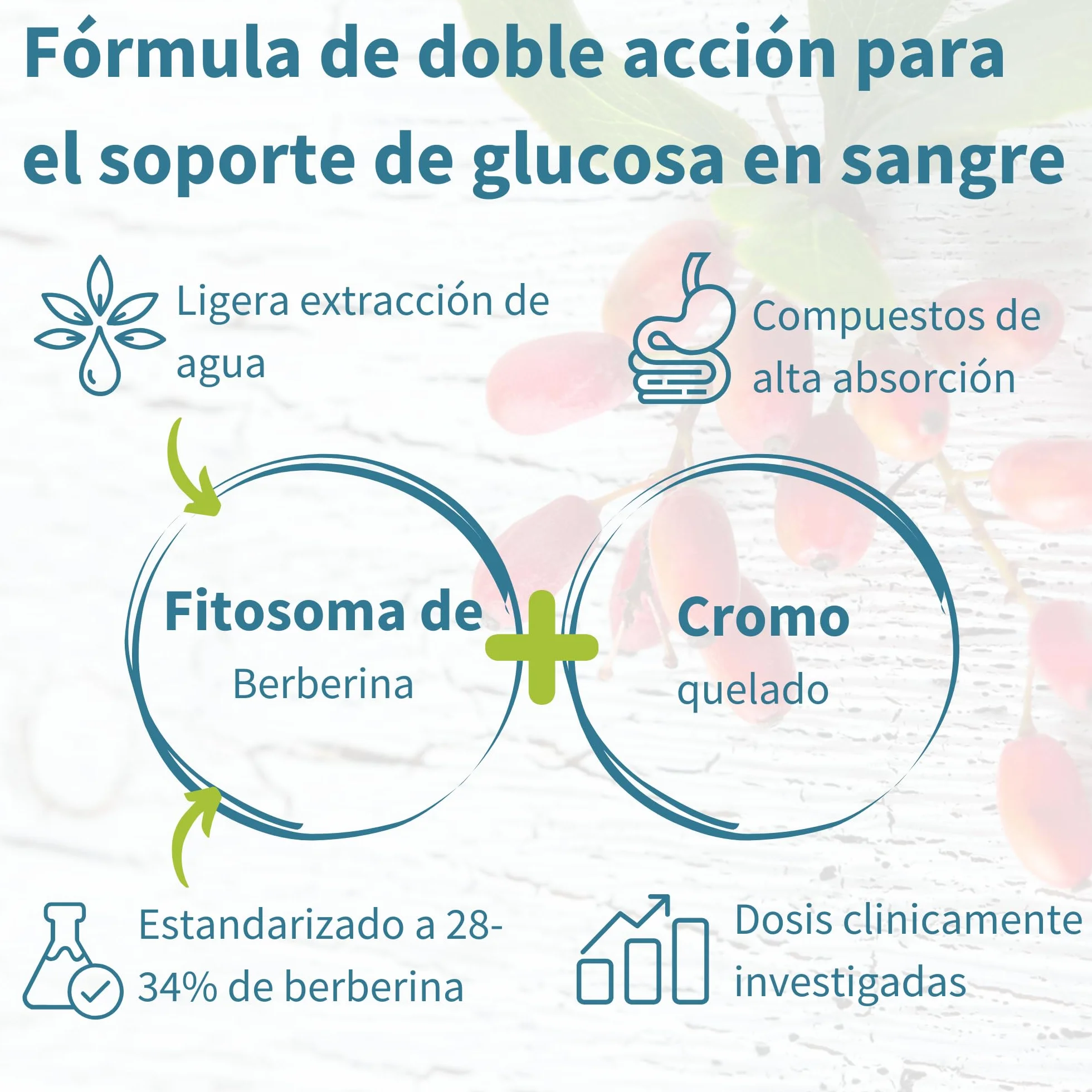 Igennus Berberina 550 mg Fitosomada con Picolinato de Cromo, 60 Cápsulas Veganas