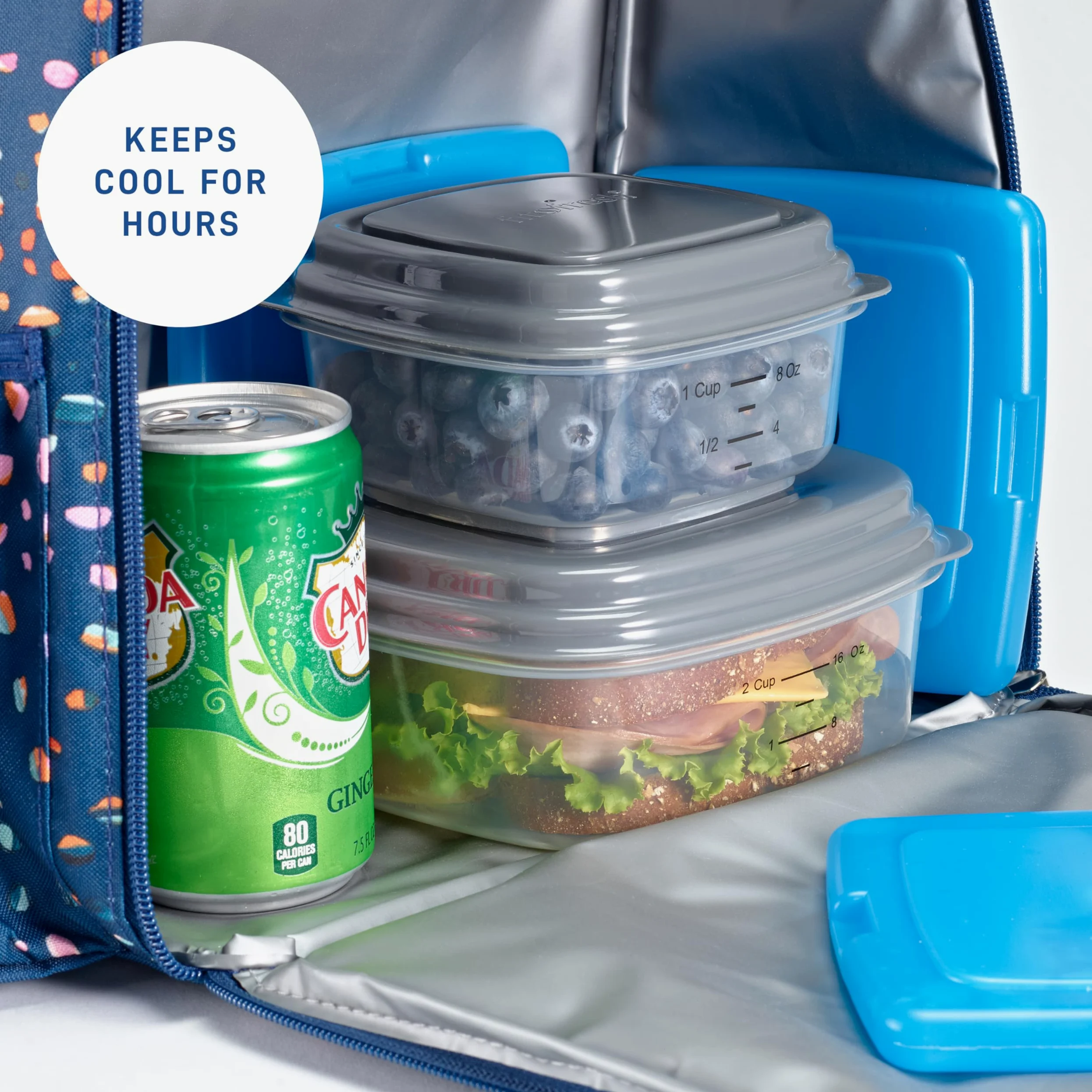 Fit & Fresh 336KFFPK12 Cool Coolers - Paquetes de Hielo, plástico, Azul, Paquete de 12