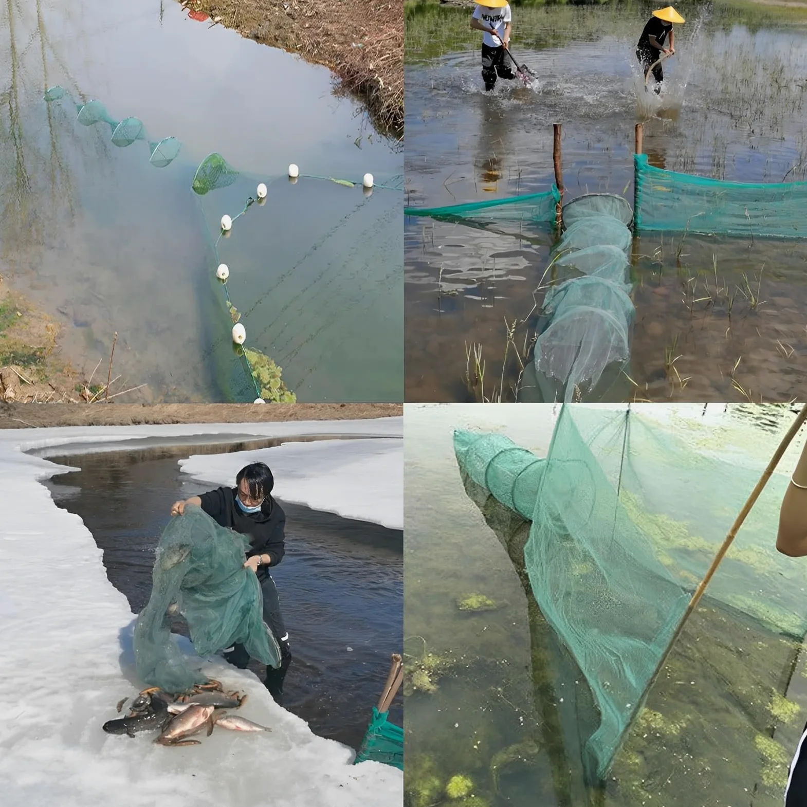Lawaia Trampa para cangrejos, Trampa para Peces, Trampa Plegable para cangrejos, Trampa portátil, Red fundida con Flotador y Cadena para camarones, Langosta, Cangrejo