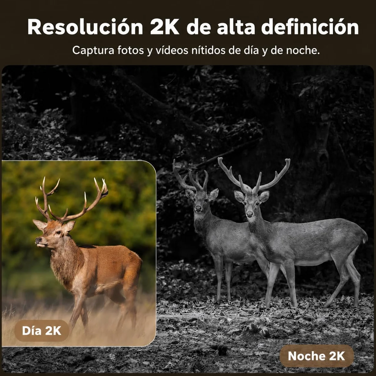 4G LTE Cámara de Caza Solar con Tarjeta SIM, Cámara Fototrampeo sin WiFi, 10400 mAh Batería, Visión Nocturna 950nm Infrarrojos Invisible, Audio de 2 vías, 0,2s Activación, IP66 Impermeable