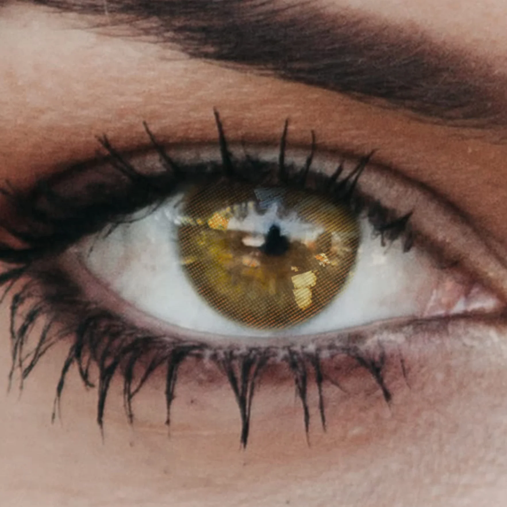 Glamlens Honey Green (Verdie miel) Lentillas de colores sutiles aspecto natural sin graduación 3 meses