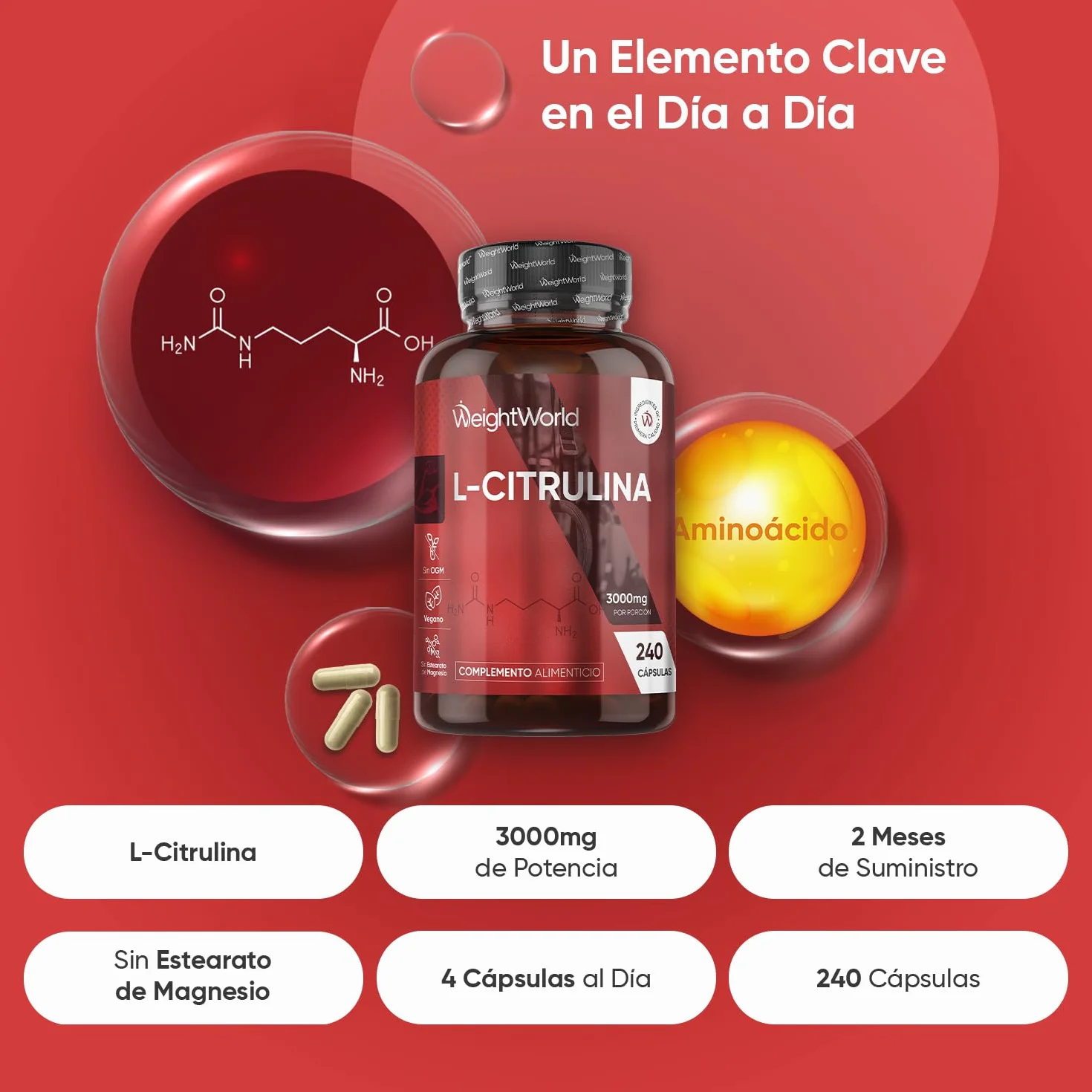 L Citrulina 3000mg 240 Cápsulas Veganas Suplemento Pre y Post Entrenamiento