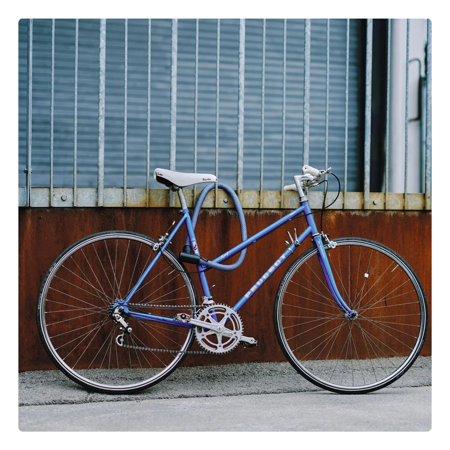 ABUS Candado de cadena YARNIT 4004K, longitud 110 cm, azul | Candado para bici con tejido, cilindro anti-ganzúa, cierre automático, protege el barniz