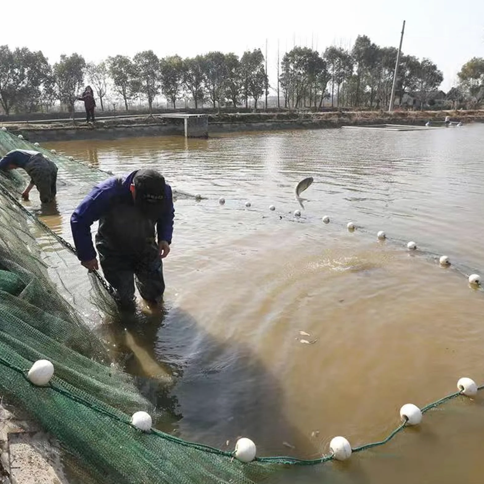 Red de pesca de arrastre, hecha a mano de material termoplástico para pesca, altura de 2 m, longitud de 5 m a 50 m, plántulas de peces limpios