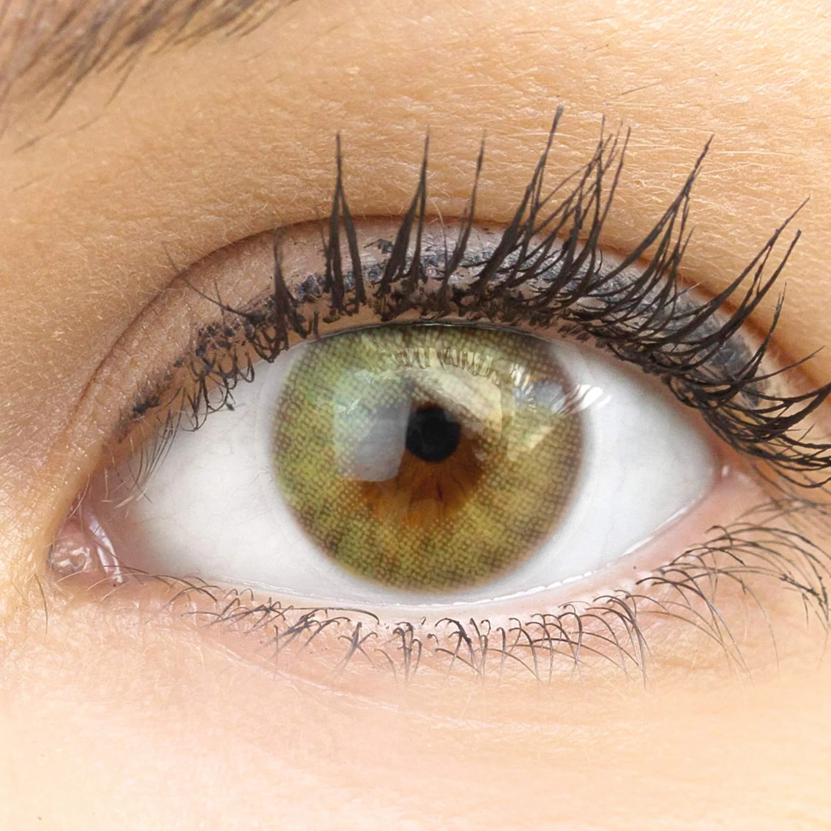 GLAMLENS Bozen Green lentillas de color verdes 1 par 90 Días Sin Graduación hidrogel de silicona
