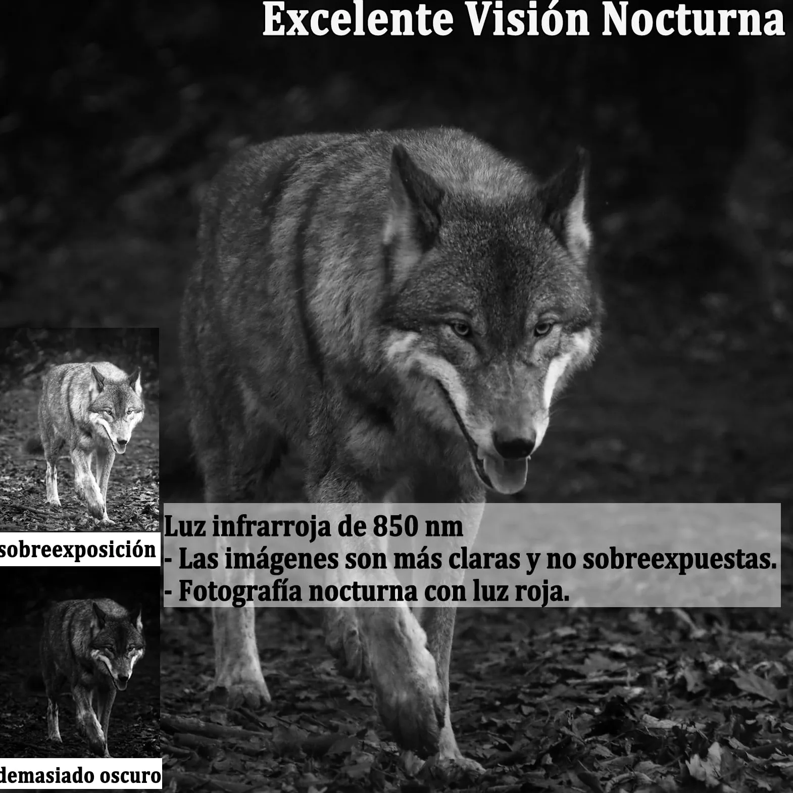 Camara Caza 50MP 4K, Camara Fototrampeo con Sensor de Movimiento, Cámara de Caza Nocturna Impermeable IP65, Visión Nocturna hasta 25m, Micro SD 32GB (HC808A)