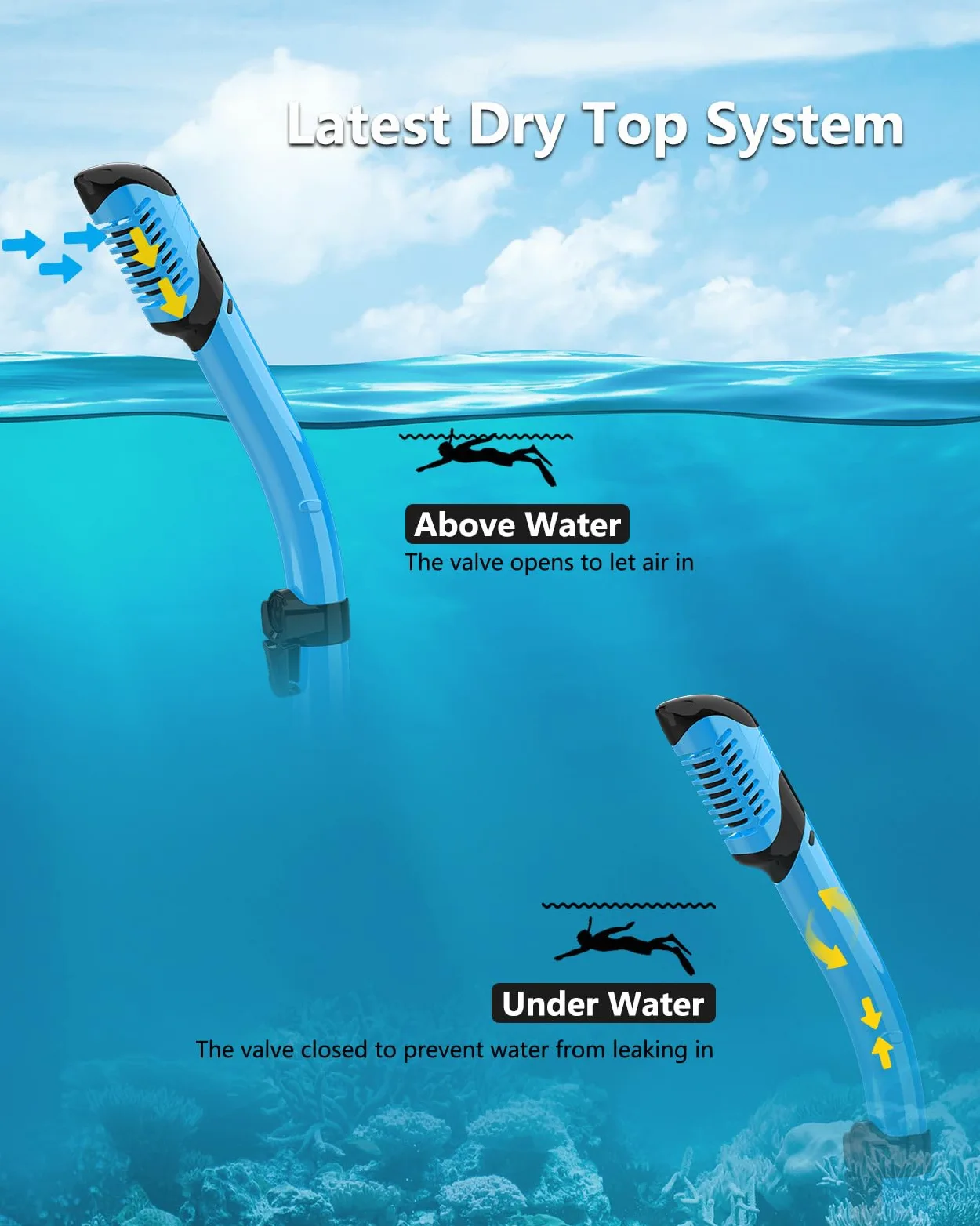 Juego de 2 máscaras de esnórquel secas para adultos, máscara de buceo, gafas de natación, máscara de buceo, cubierta de nariz, buceo libre, (azul cielo + verde)