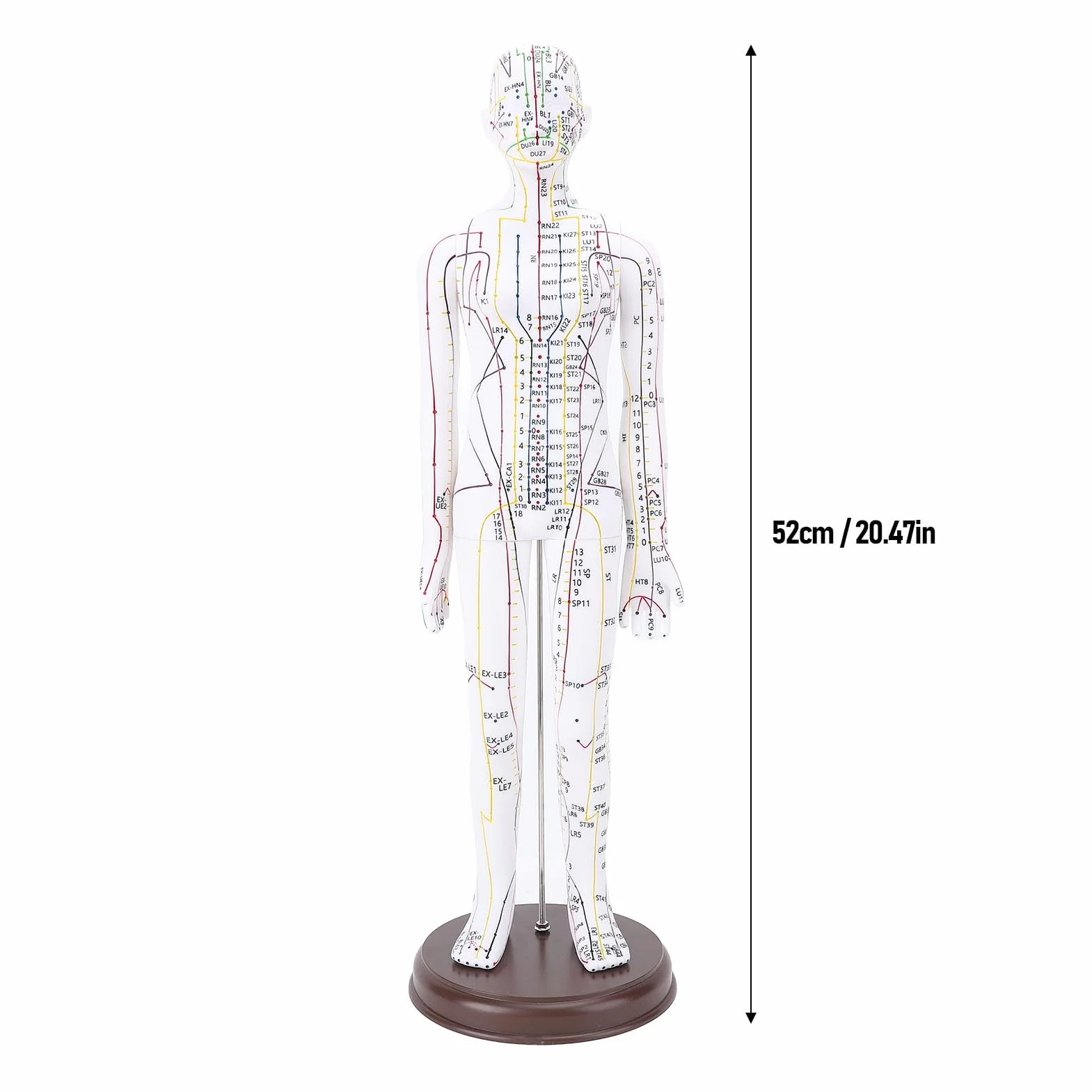 Muñeca de Acupuntura de 52 Cm, Modelo de Cuerpo Humano, Maniquí Masculino/Femenino con Base