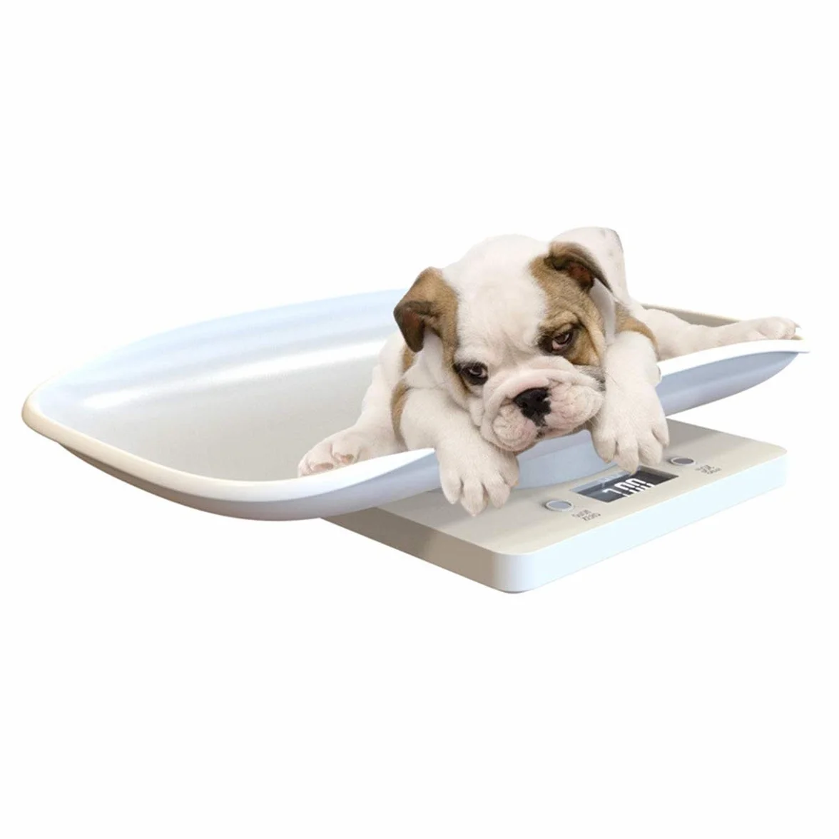 FAMKIT Báscula de pesaje digital para perros bebés cocina con pantalla LCD capacidad 22 LB
