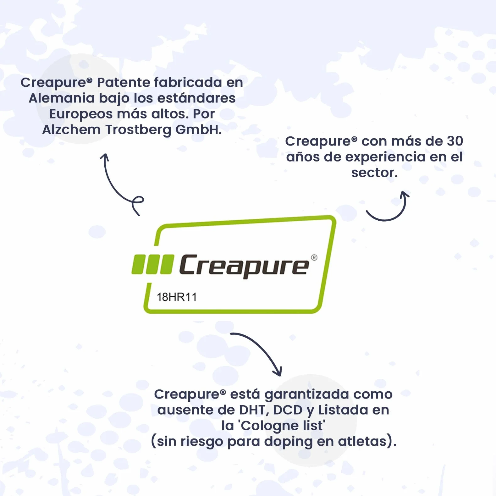 HSN Creatina 100% CREAPURE® Cápsulas 120 Unidades 40 Servicios Monohidrato de Creatina Micronizada Vegano Sin Gluten