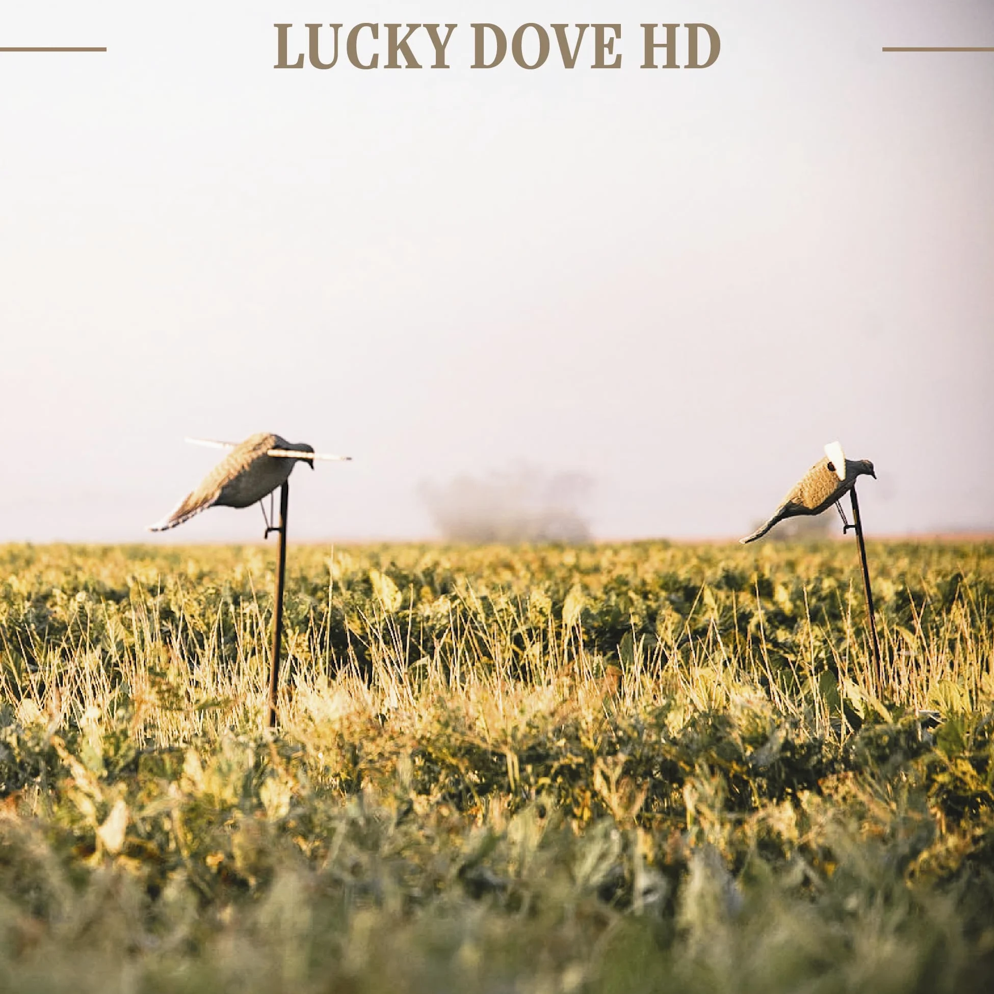 Lucky Duck - Señuelos de caza de paloma HD, Lucky HD Dove Decoy