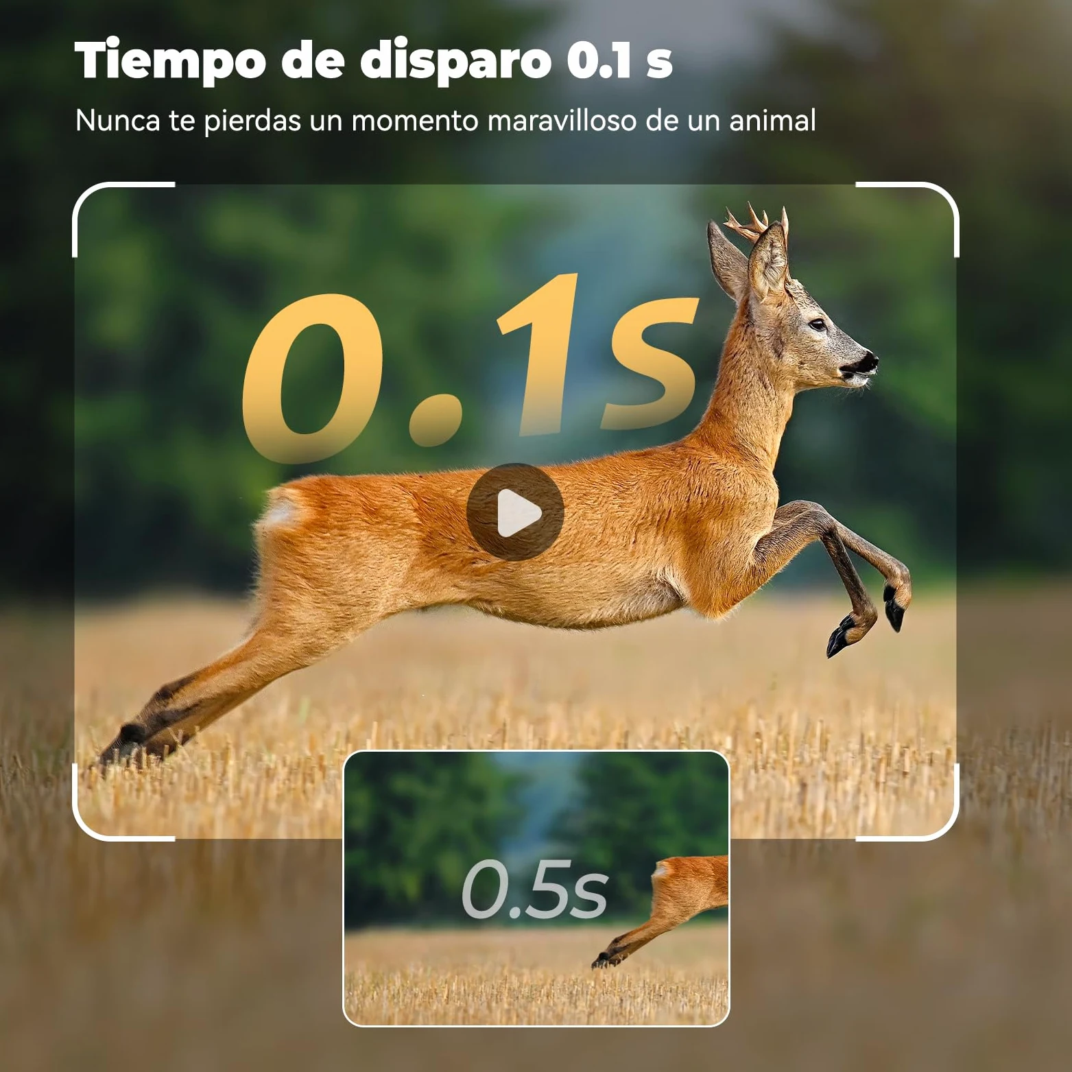 DEATTI 4G LTE Cámara de Caza 2.7K con Tarjeta SIM, Solar Camara Fototrampeo con App, Detección PIR por Infrarrojos Invisible, Cámara Caza Nocturna con 8000mAh Batería, Tarjeta TF de 64 GB IP66