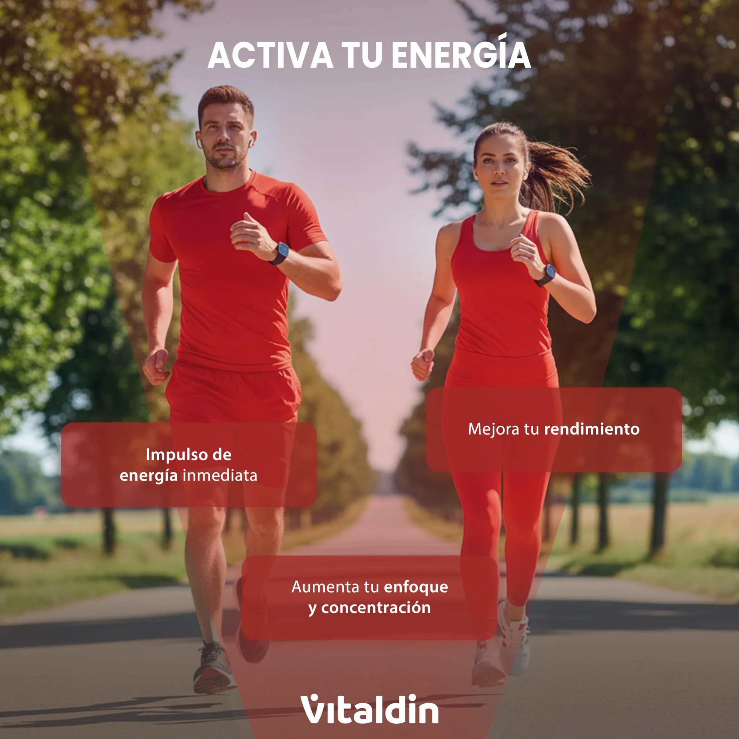 VITALDIN SPORT Power Gummies Caffeine & Taurine 80 mg Cafeína 40 mg Taurina Vitamina B6 30 Bites Sabor frutos rojos Vegano