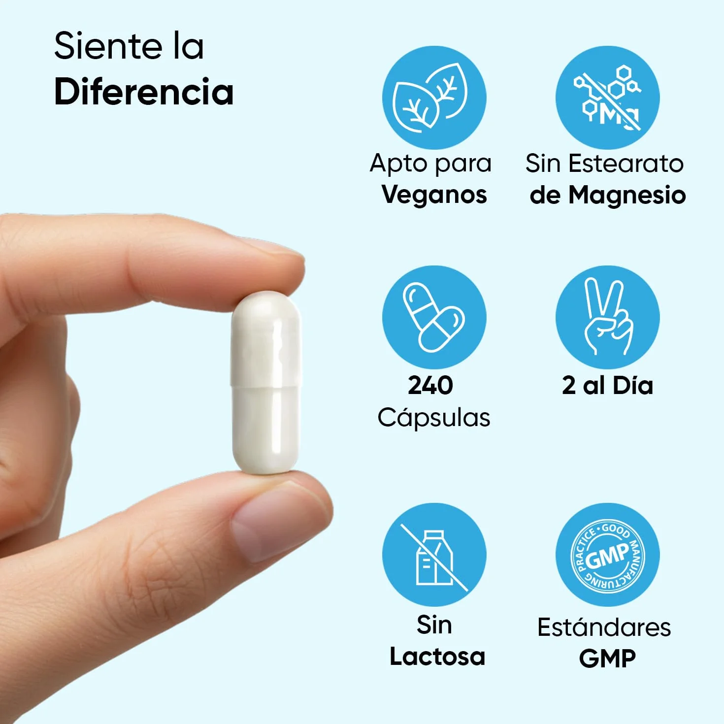 Citrato de Magnesio 240 Cápsulas Veganas 444mg Magnesio Puro 1480mg Citrato Sin Gluten