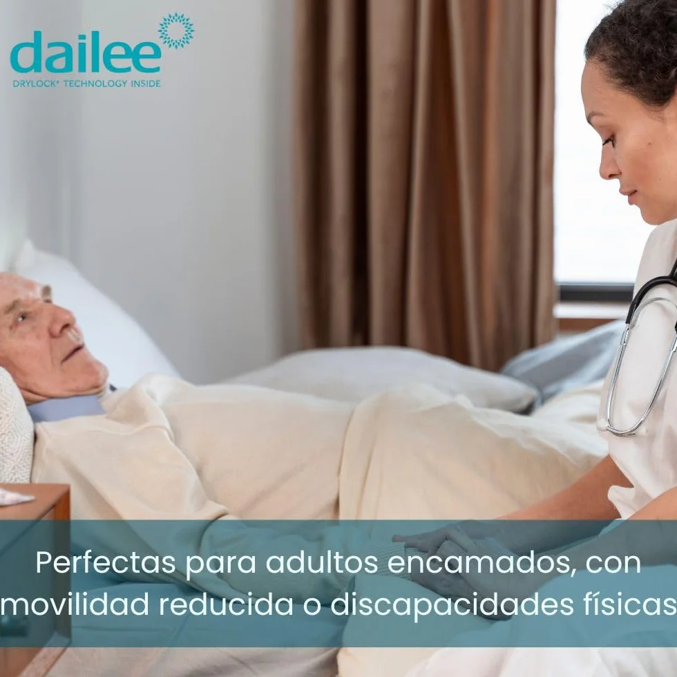 Dailee Toallitas Humedas XL 288 Toallitas Higiene Corporal Adultos 6 Paquetes