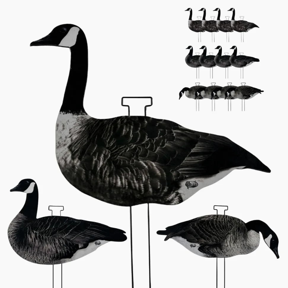 Pro-Flock Señuelos de silueta de ganso de Canadá, 12 señuelos de caza de ganso totalmente flocados con detalles realistas, acabado texturizado, 3 posturas naturales y estacas de campo
