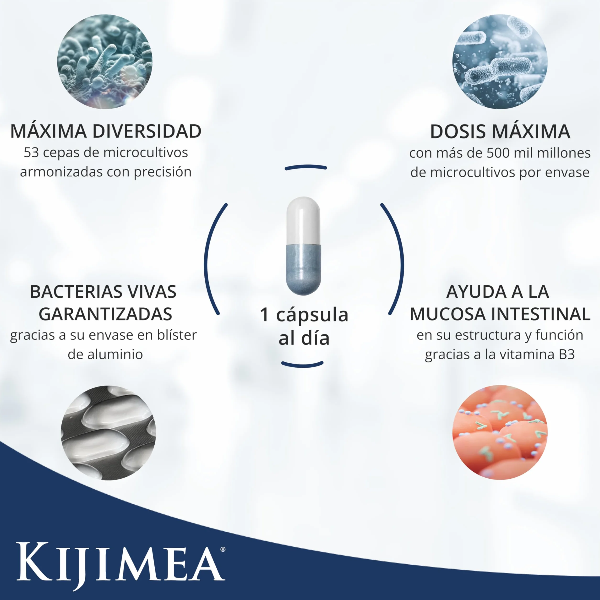 Kijimea K53 Advance Cápsulas de bacterias intestinales 53 cepas flora intestinal biotina 500 mil millones UFC 28 cápsulas