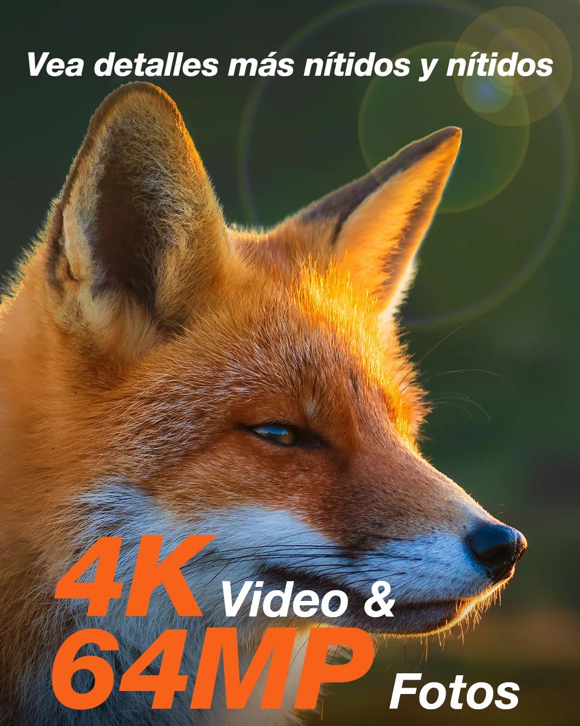 iZEEKER Cámara de Caza Solar, 4K Ultra HD 64MP Camara Fototrampeo con 32GB Micro SD Karte & 5200mAh Batería Recargable, Envio al Movil App y WiFi Bluetooth, Visión Nocturna, IP66 Impermeable