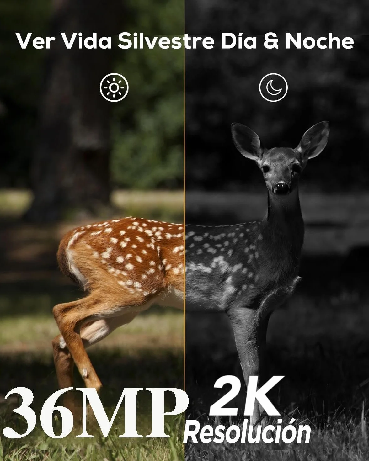 iZEEKER Cámara de Caza, 36MP HD Cámara Caza Nocturna con 940nm IR LED Sin Brillo Invisible, de Impermeable IP66 para Observación de Vida Silvestre y Monitoreo de Seguridad en Interiores