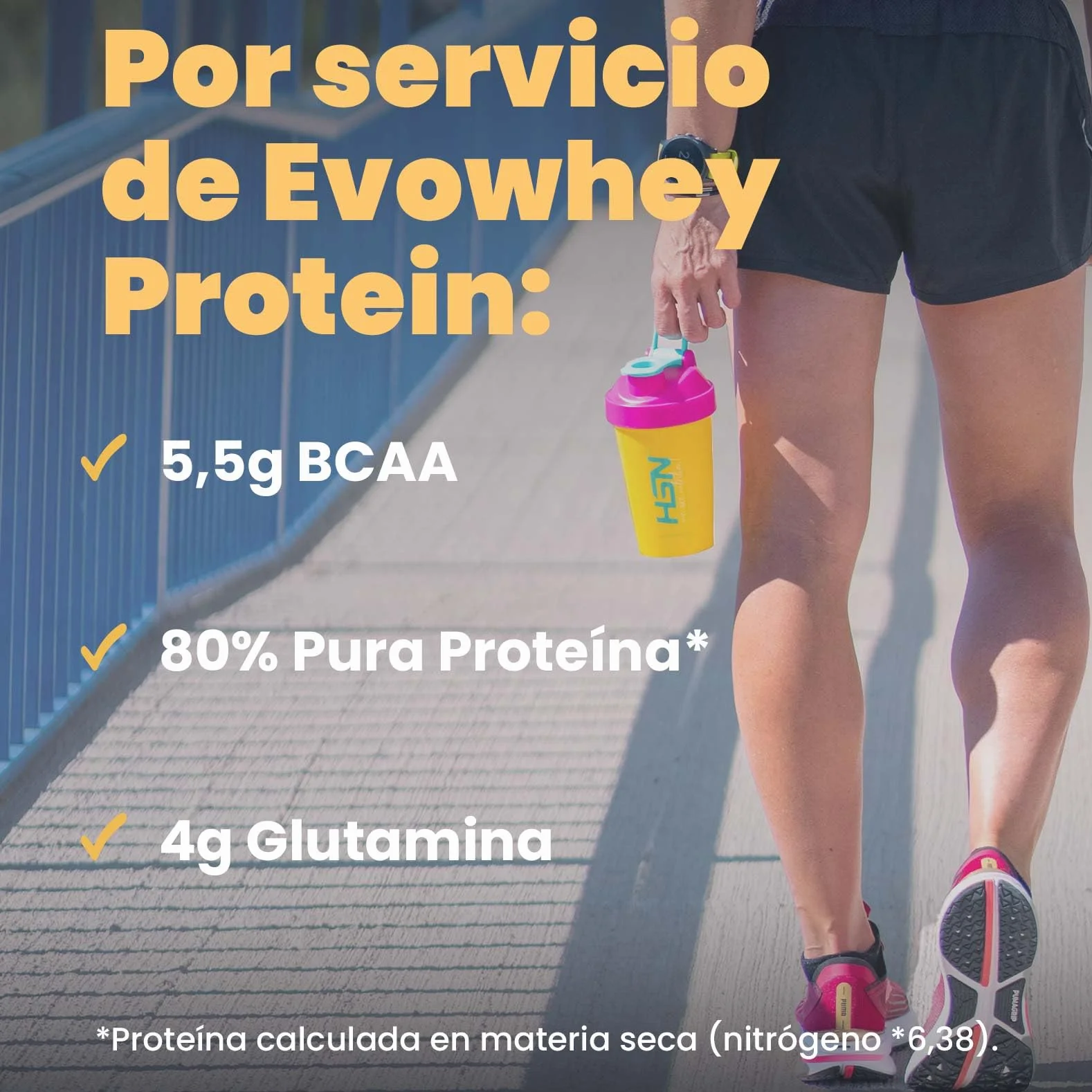 HSN Evowhey Protein Chocolate y Avellanas 500g Concentrado de Proteína de Suero WPC No-GMO Vegetariano Sin Gluten