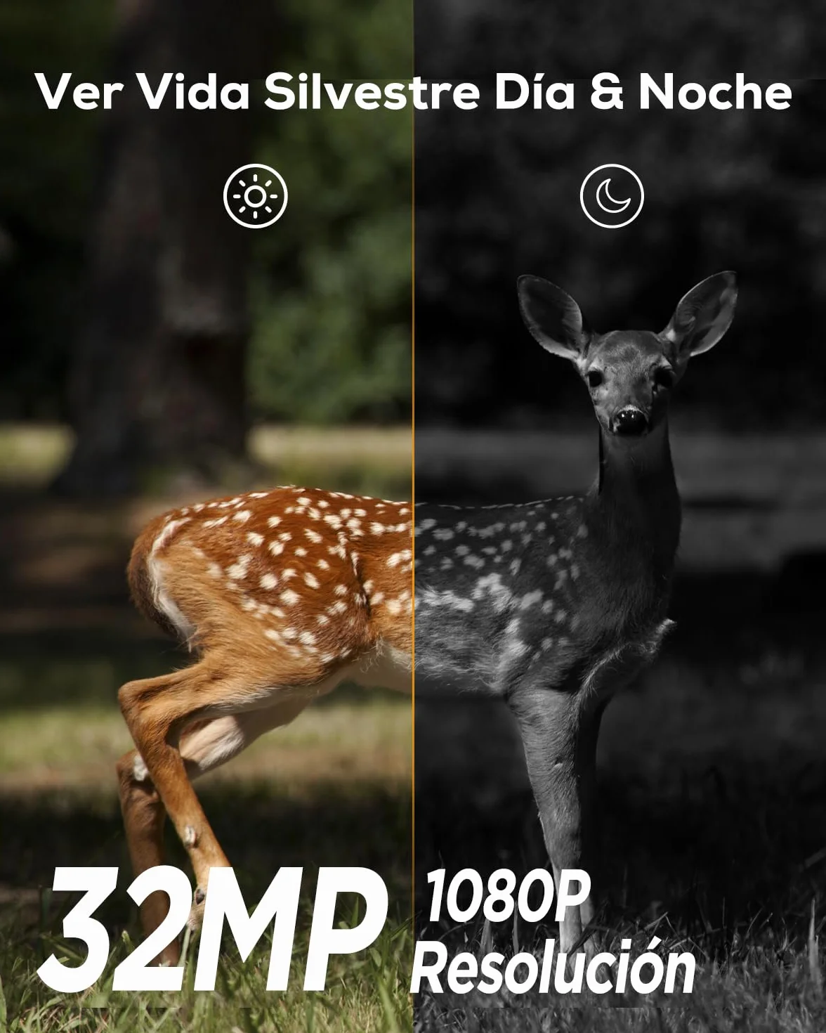 iZEEKER Cámara de Caza 32MP 1080P Visión Nocturna IP66 Impermeable