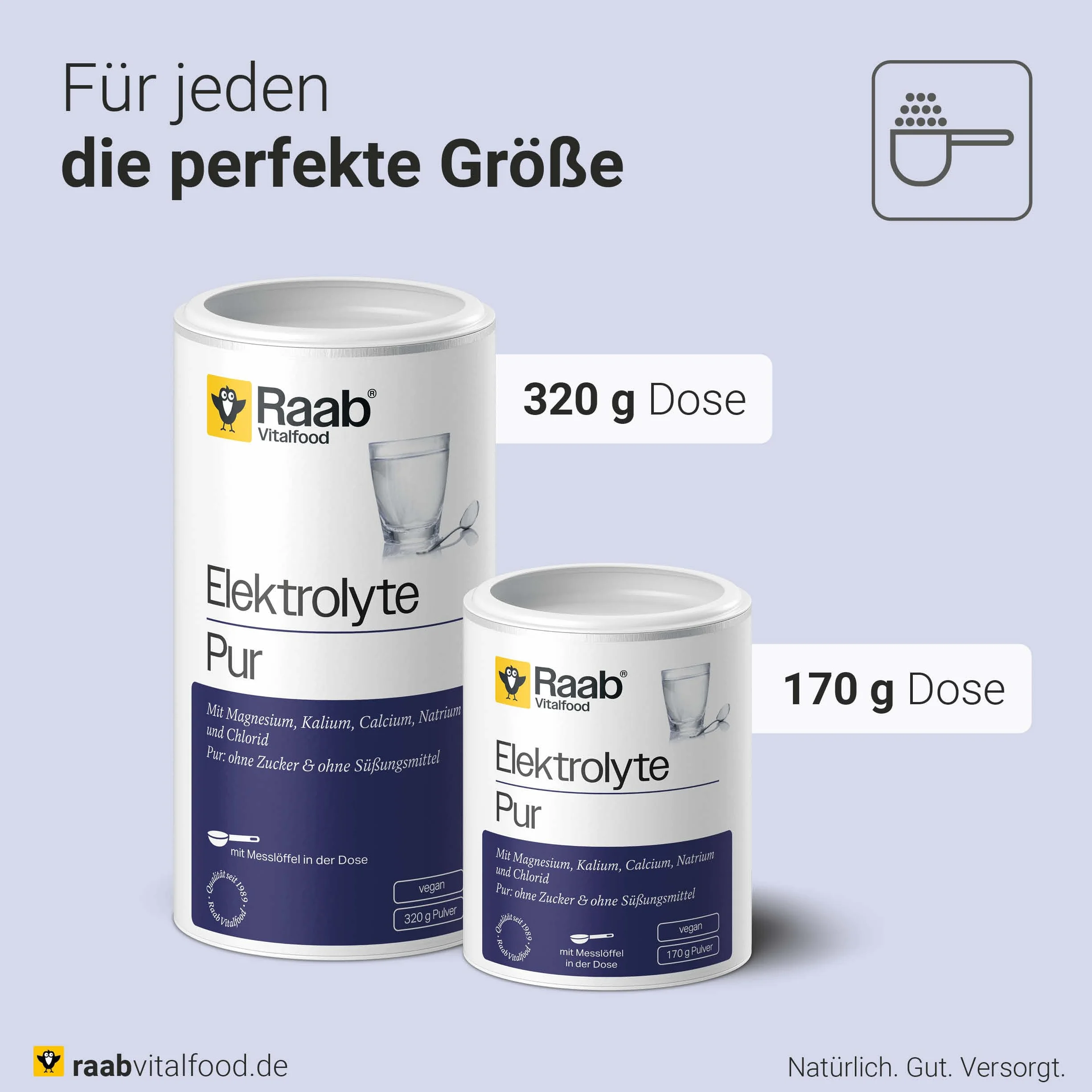 Raab Vitalfood Electrolitos Pur 170 g - Electrolitos sin azúcar, vegano, para deportistas, pérdida de líquidos, músculos, nervios