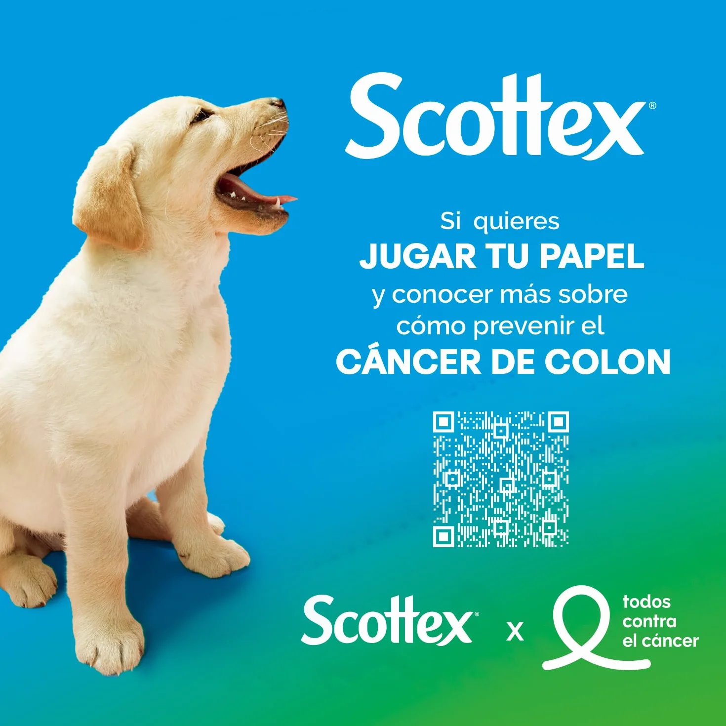 Scottex Acolchado Papel Higiénico 63 Rollos 3 Capas