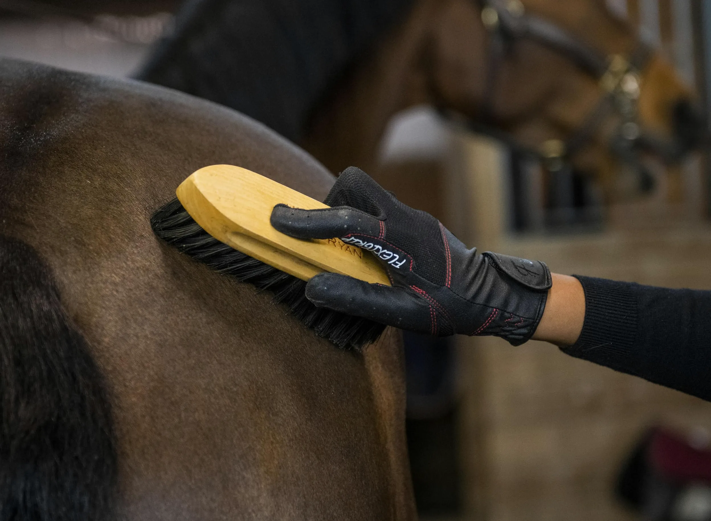 FARRIS Flexgrip - Guantes de equitación para mujeres y hombres, guantes ecuestres acolchados con malla transpirable y pulgares y dedos reforzados
