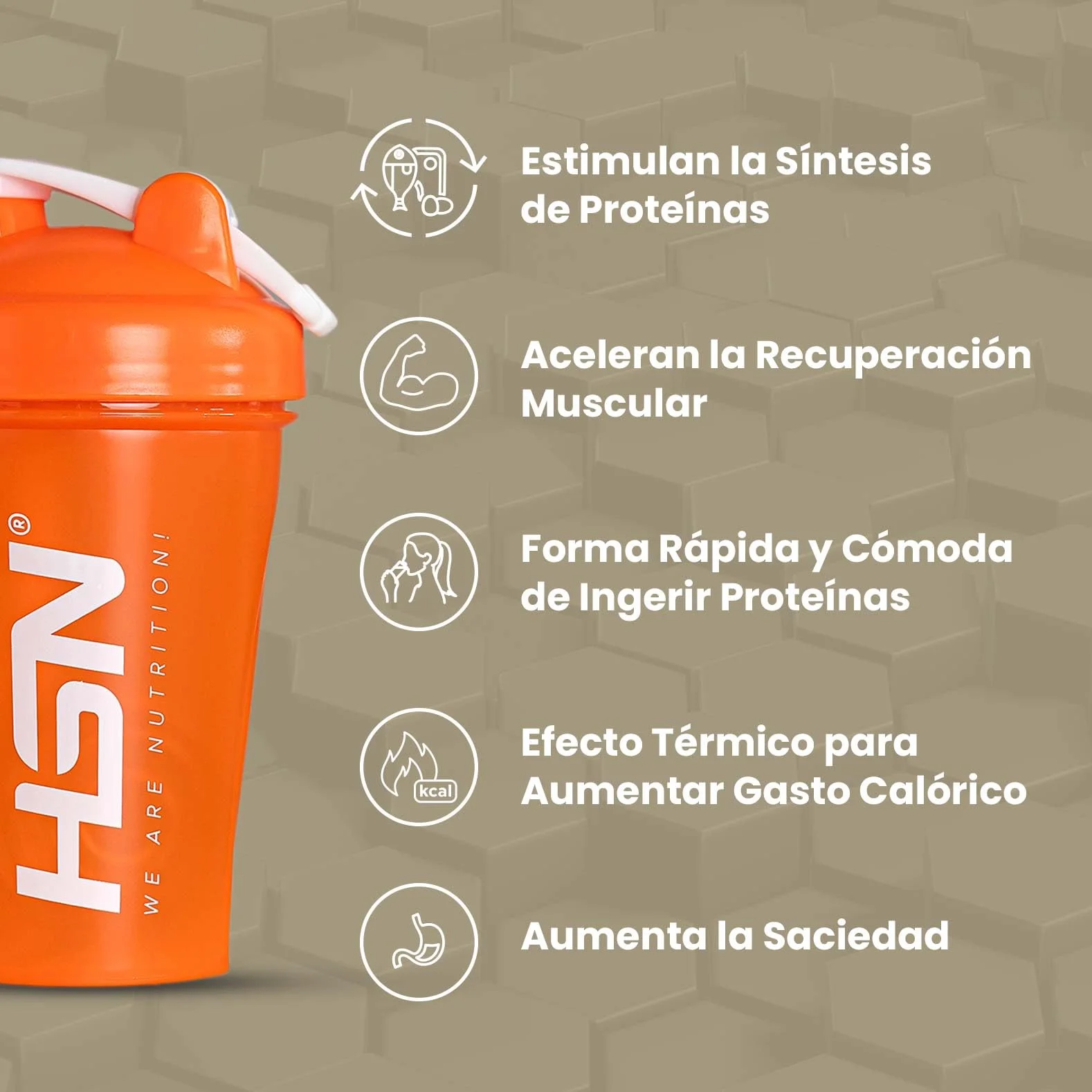 HSN Evowhey Protein Chocolate y Avellanas 500g Concentrado de Proteína de Suero WPC No-GMO Vegetariano Sin Gluten