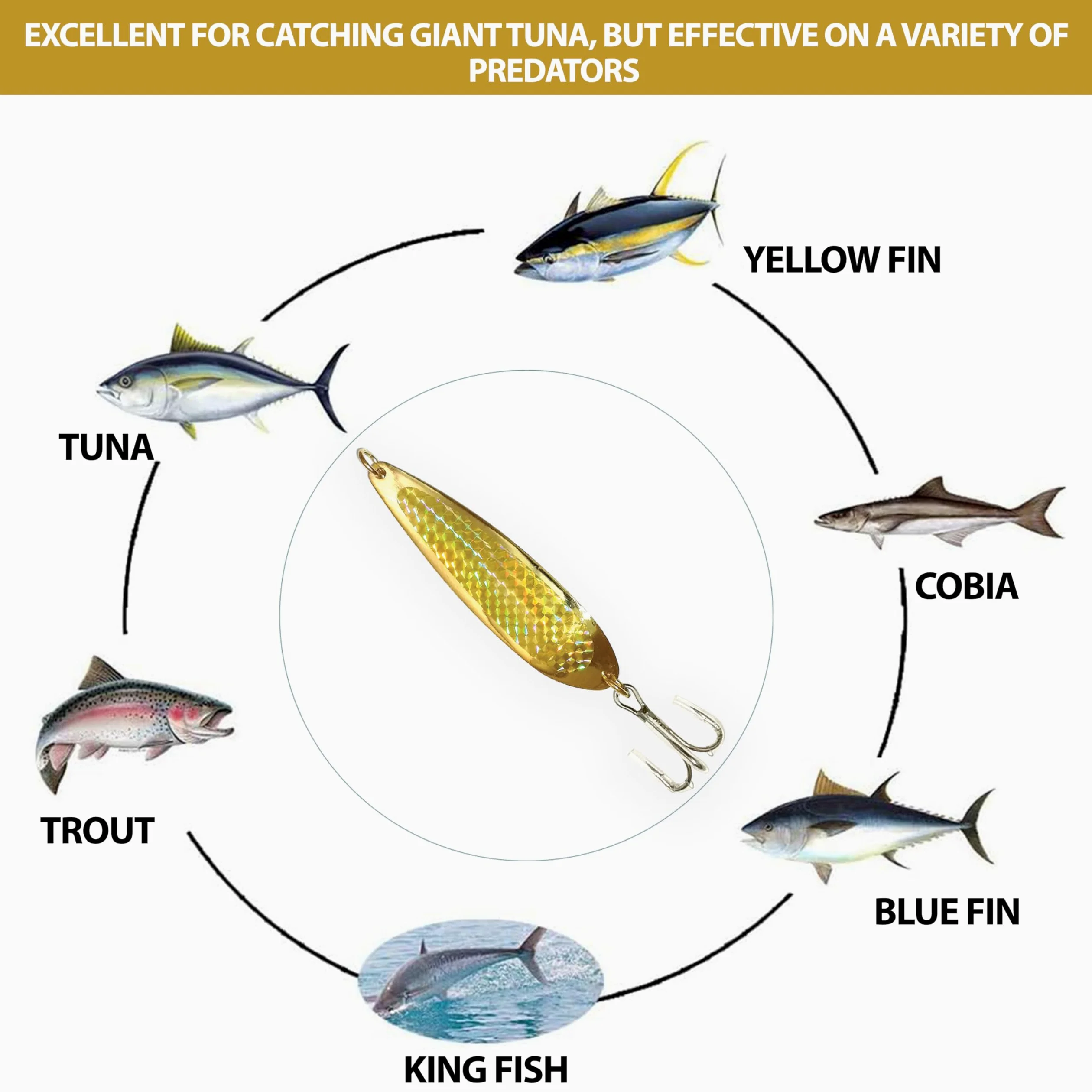 Señuelos de pesca con cuchara de cocodrilo, 56.7 g, 6 unidades, color dorado | Pesca de agua salada y agua dulce, acabado cromado con anzuelos agudos Mustad, ideal para trucha, lubina, fletán