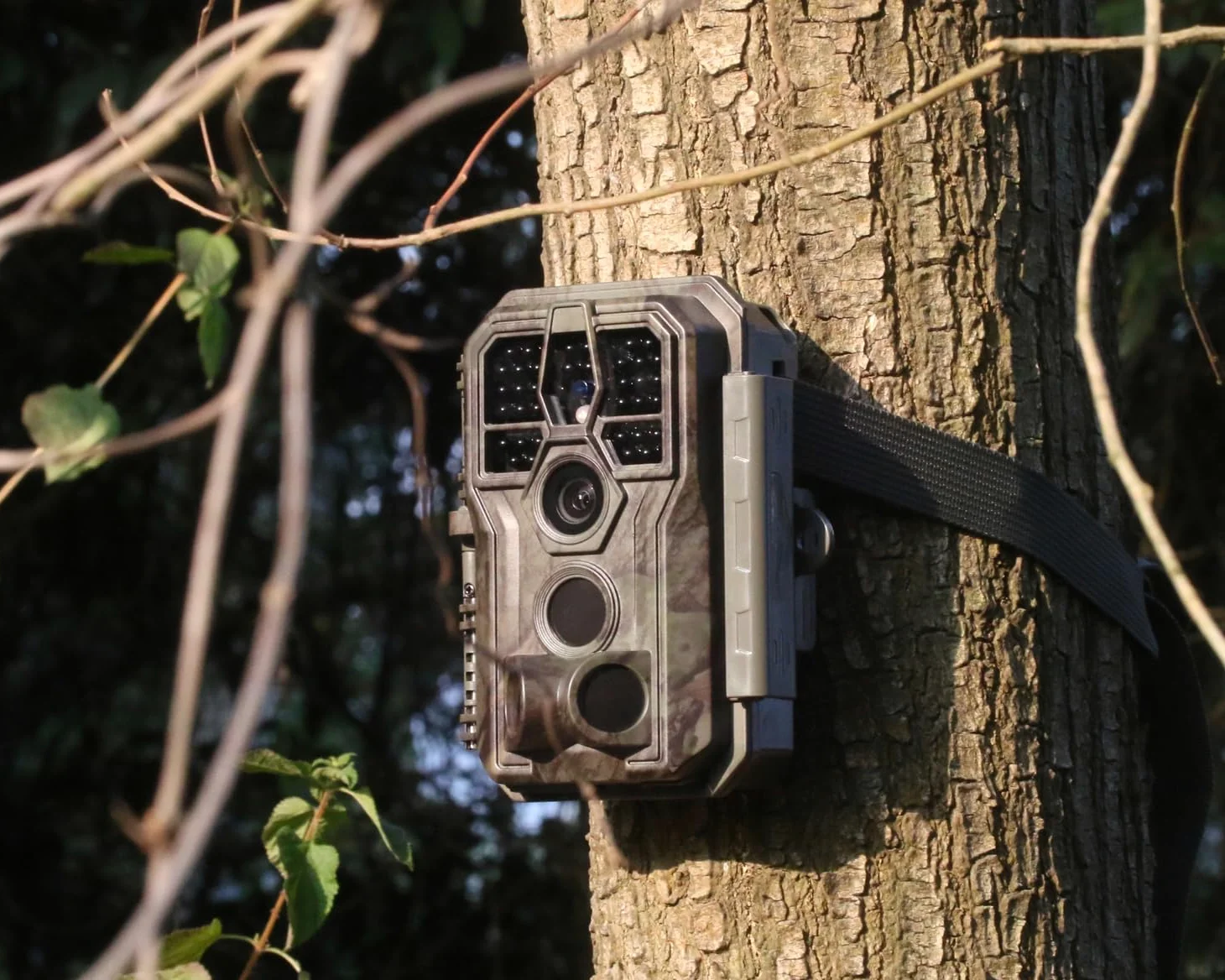 GardePro E5S Câmaras de Caça 64MP 1296P H.264 Vidéo, Camara Fototrampeo con Alcance de Visión Nocturna de 30m y 0,1s Tiempo de Activación, LED IR de 940nm