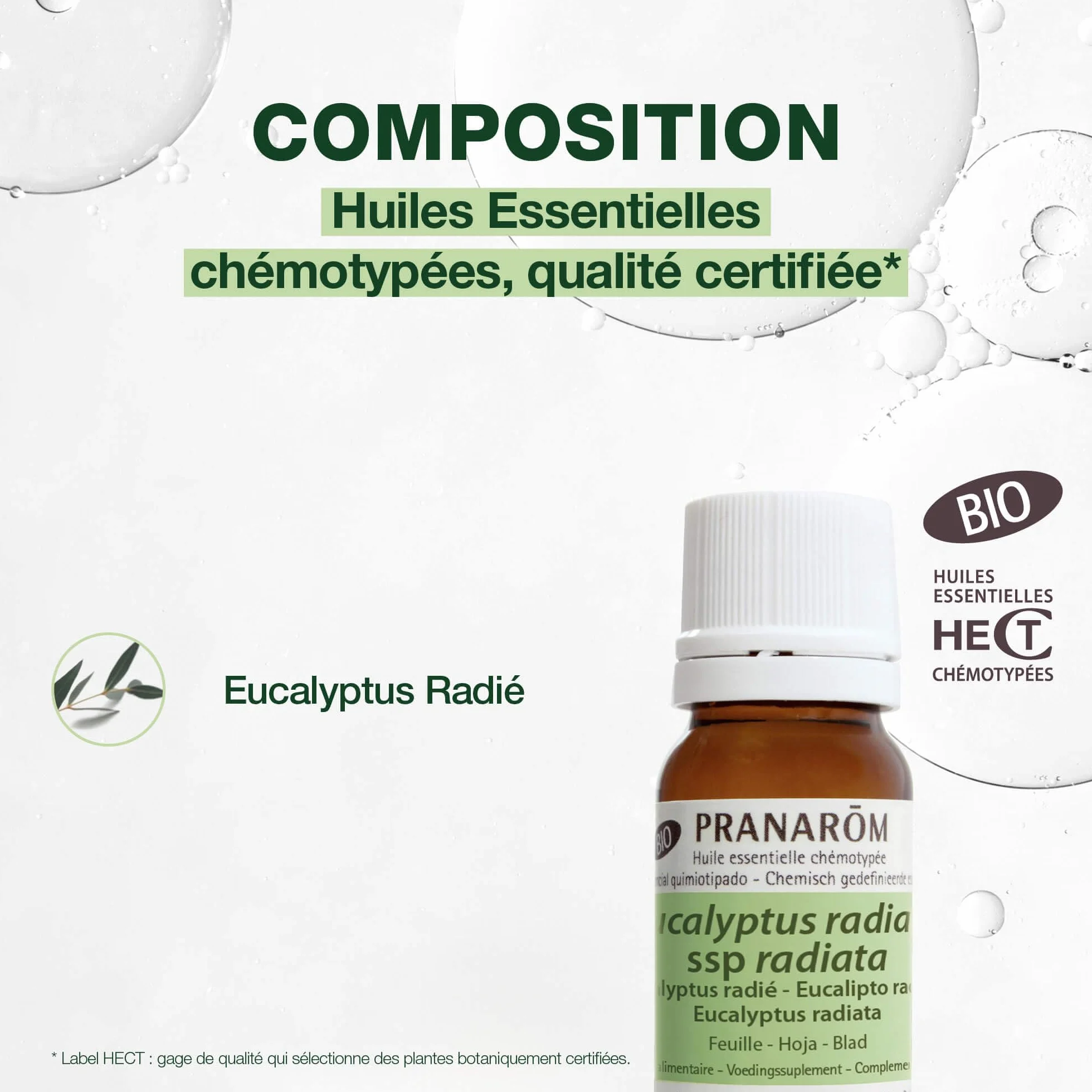 PRANAROM Eucalipto Radiata BIO Aceite Esencial Quimiotipado HECT 10 ml