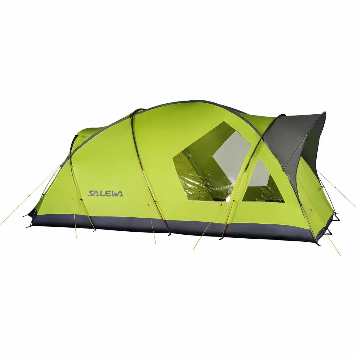 SALEWA 00-0000005600 Tienda, Unisex Adulto, Multicolor (Cactus/Grey), Única