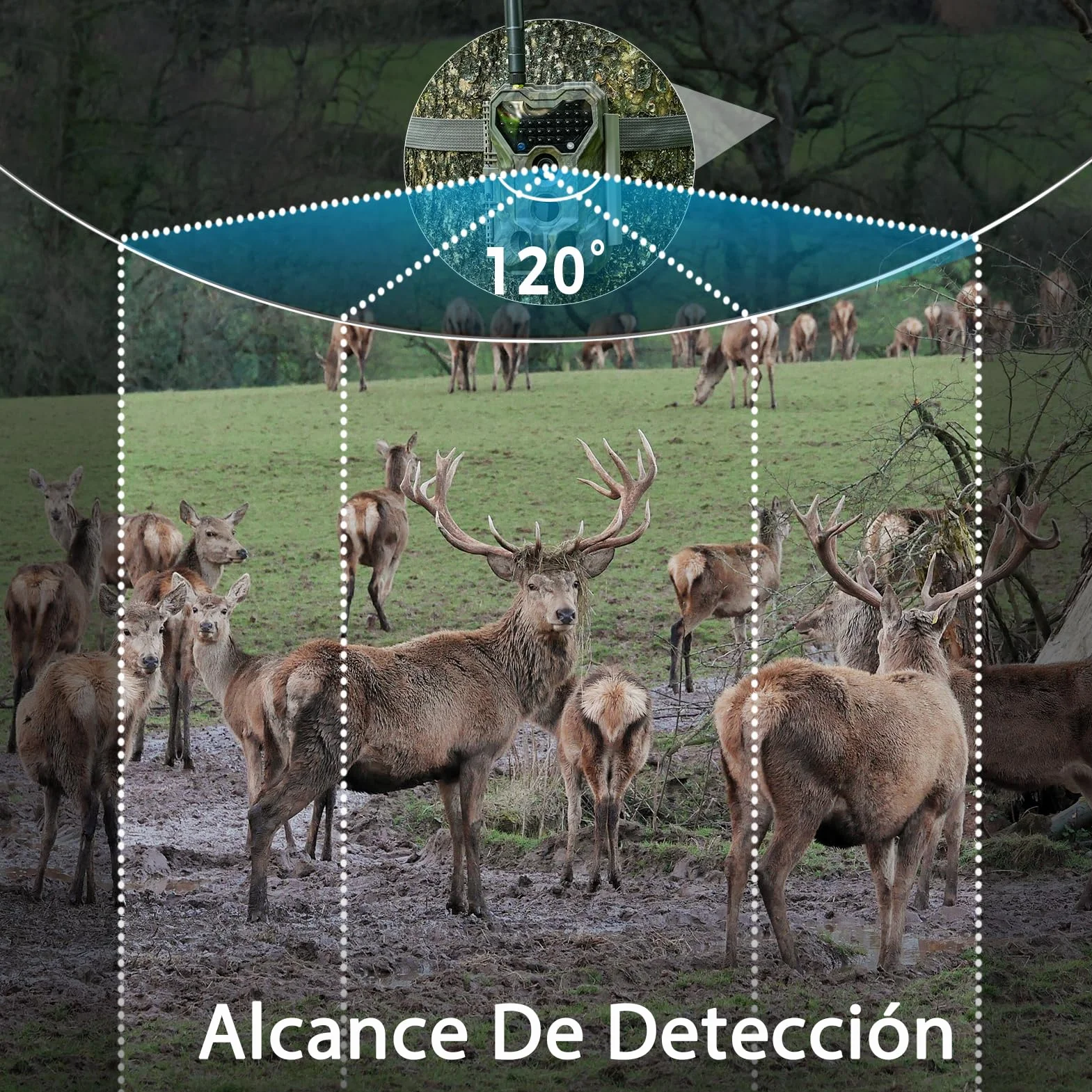 Meidase S970 Pro 4G LTE Cámara de Caza, 48MP 1296P, con Transmisión en Vivo, Visión Nocturna, Activación por Movimiento 0.1s, Transferencia de App, con Batería de 7800mAh y Tarjeta SD 64GB, GPS