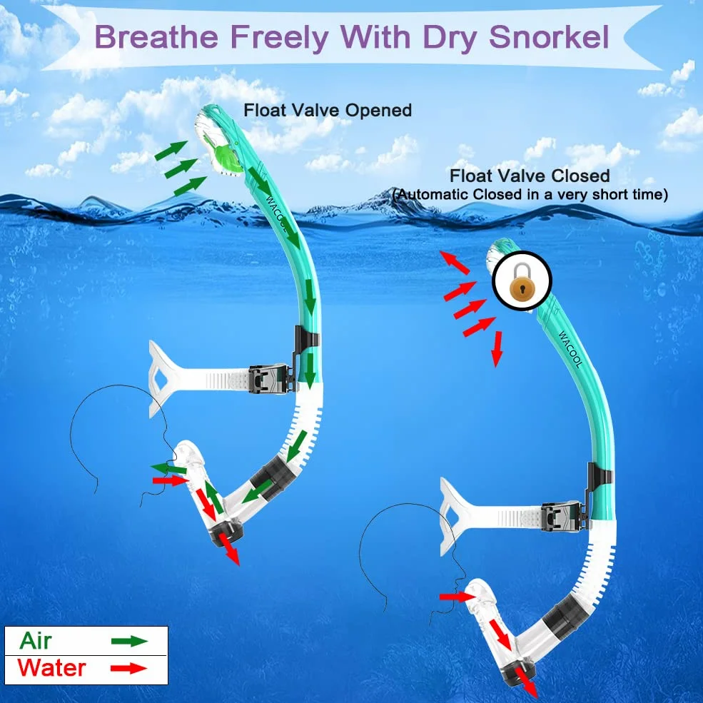 WACOOL Correa de entrenamiento para la cabeza, tubo de esnórquel con parte superior seca, boquilla cómoda, válvula de purga unidireccional para piscina, aguas abiertas, buceo, natación, natación,