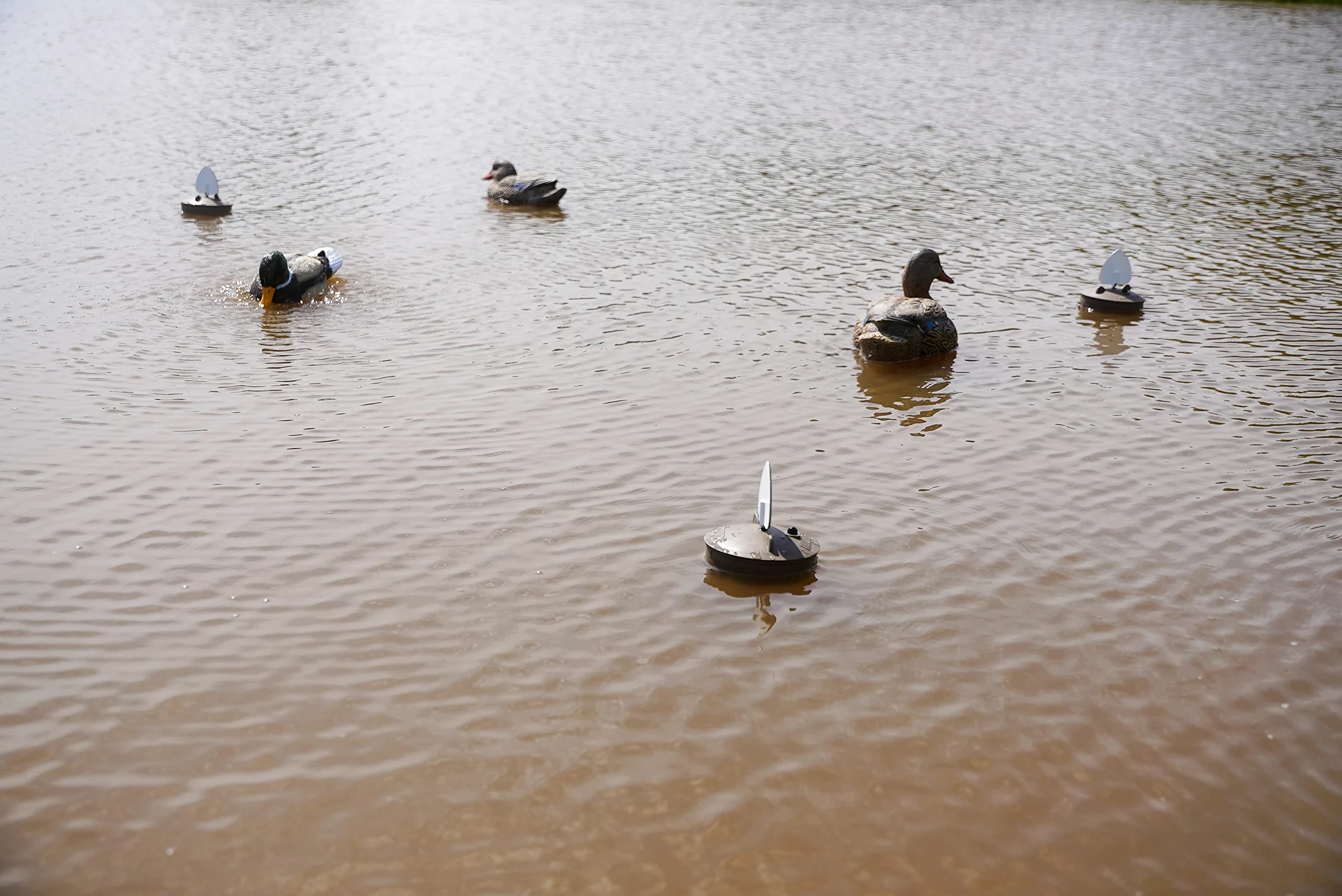 MOJO Outdoors Flock A Flicker 2 - Señuelo de Caza de Patos y Aves acuáticas