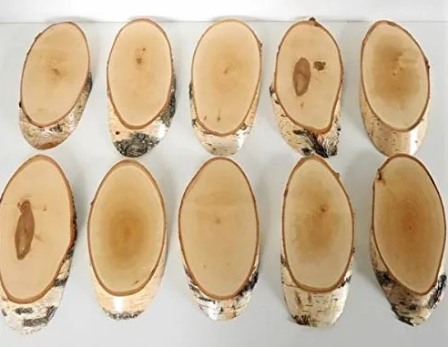 10 carteles de madera de abedul para trofeos con cornamenta, cornamenta, disco de árbol, cartel de madera natural, moderno con compartimento de pino