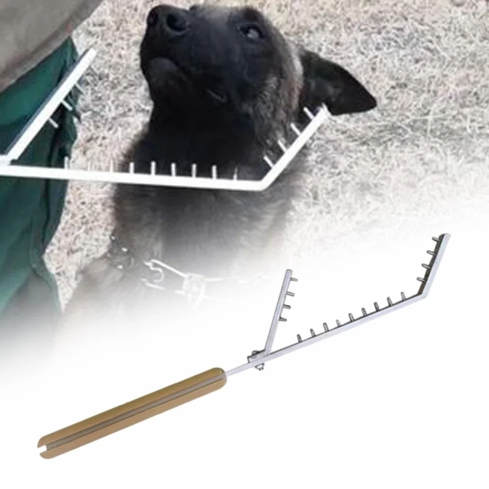 Baoblaze Palo de Entrenamiento para Perros portátil, Resistente, Ligero, Herramienta de Entrenamiento para Perros, Equipo de Entrenamiento para Perros
