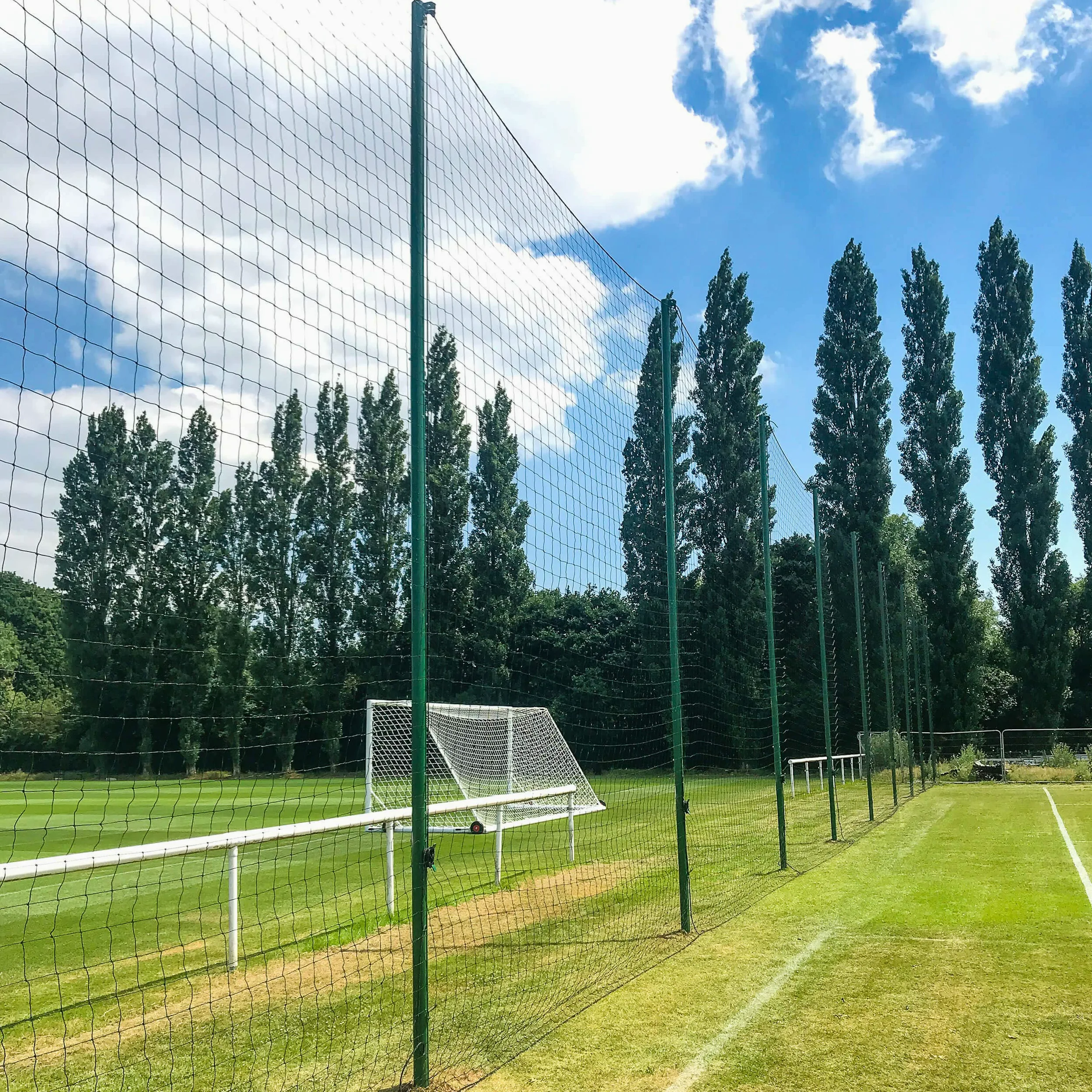 FORZA Postes extraíbles Alu80 con sistema de tope de bola, postes de aluminio reforzado de alta calidad para sistemas de red deportiva, solo postes
