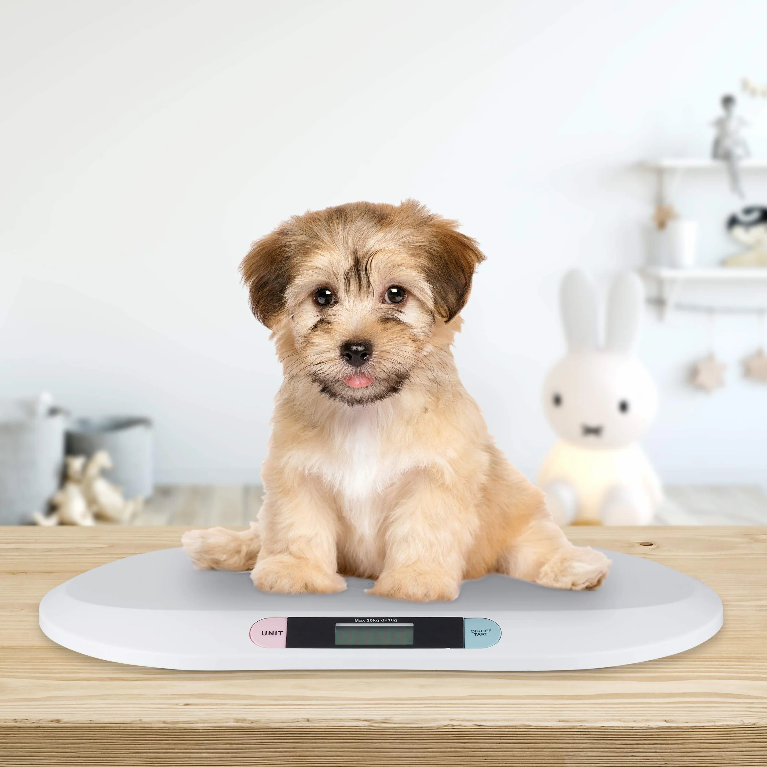 Báscula para bebés Little Choice, Recién Nacidos hasta 20 kg, sin Pilas, Blanco