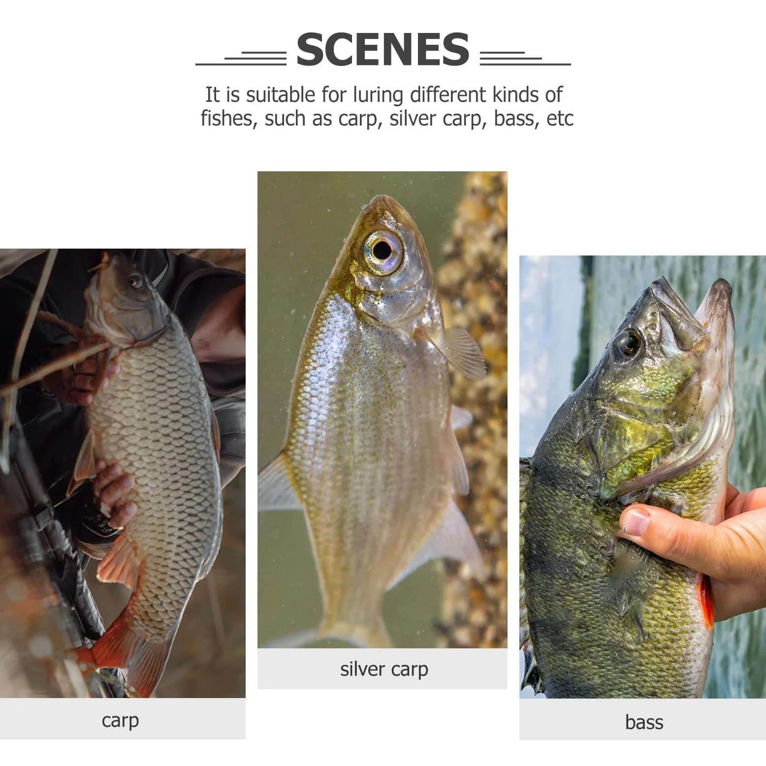 MAGICLULU Red de Pesca Manual Resistente al Desgaste Hundimiento Rápido, Línea y Metal para Actividades al Aire Libre, Redes para Pescar Peces Pescadores