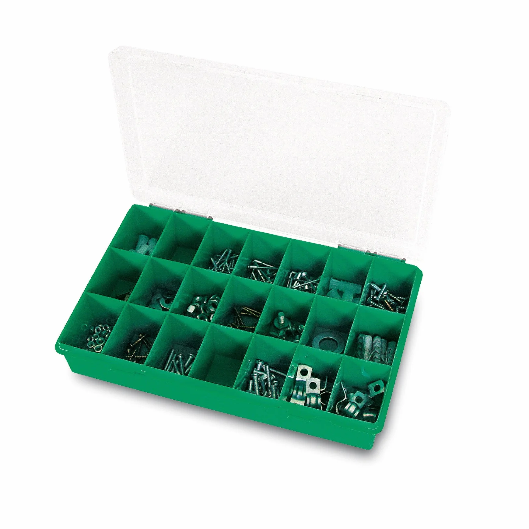 Tayg 060106 Estuche con separador fijo 12-21, Verde, Transparente, 290 x 195 x 54 mm