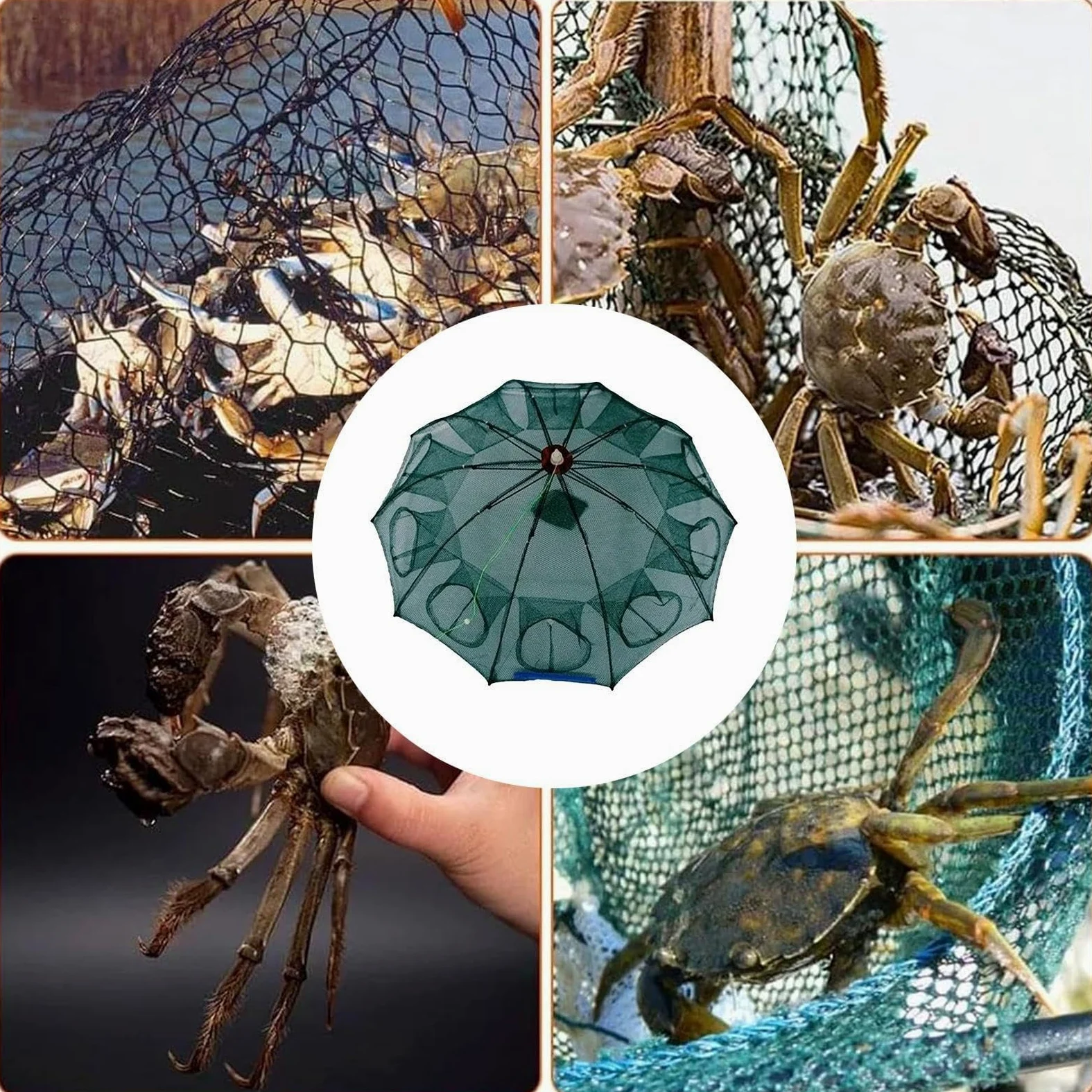Red de cebo de pesca, redes de pesca plegables, 4/10/16 agujeros, trampa para langostas, accesorios de pesca portátiles, red de pesca para bacalao, anguilas, cangrejos, peces pequeños, camarones