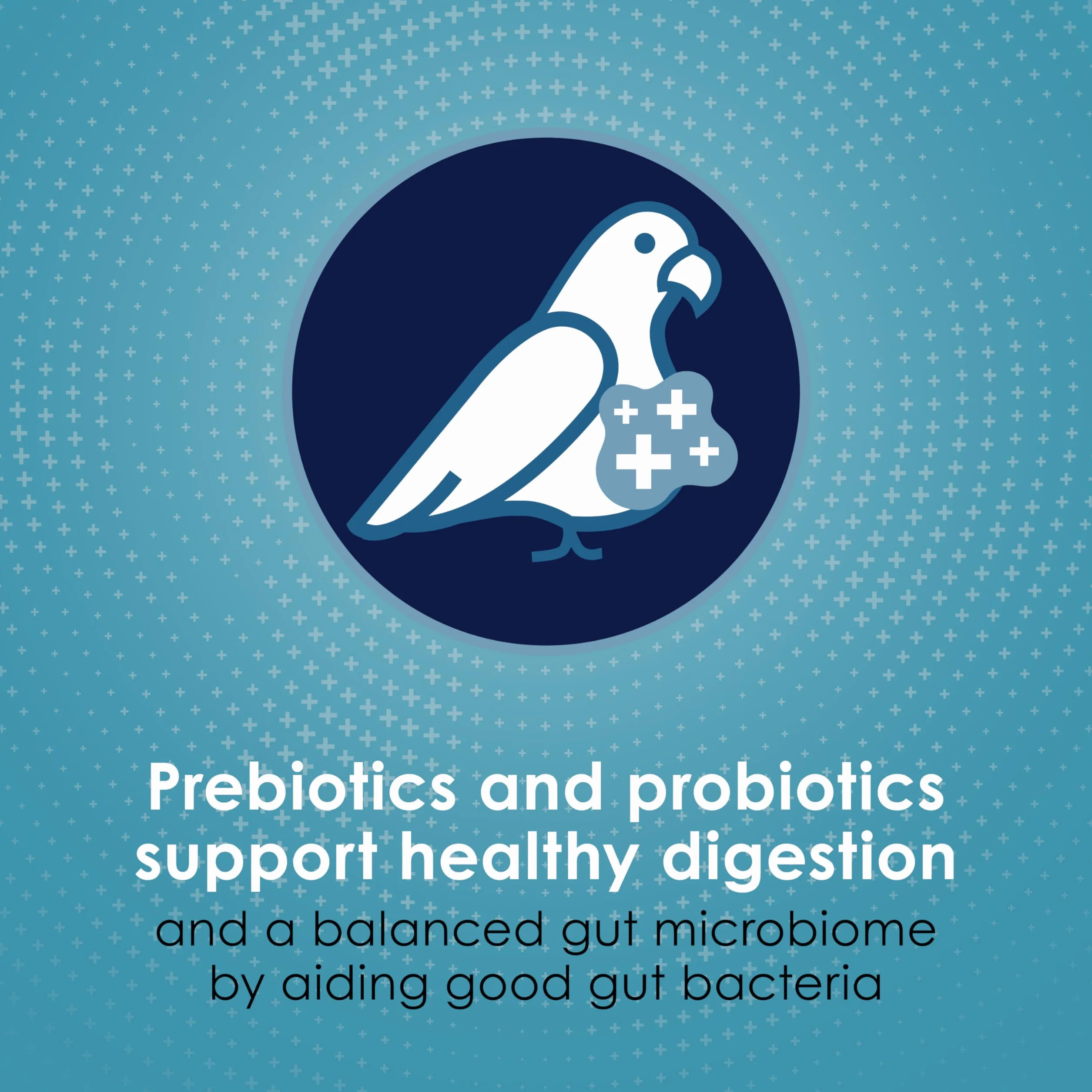 Kaytee Forti Dieta Pro Salud Bird Food para Hacer