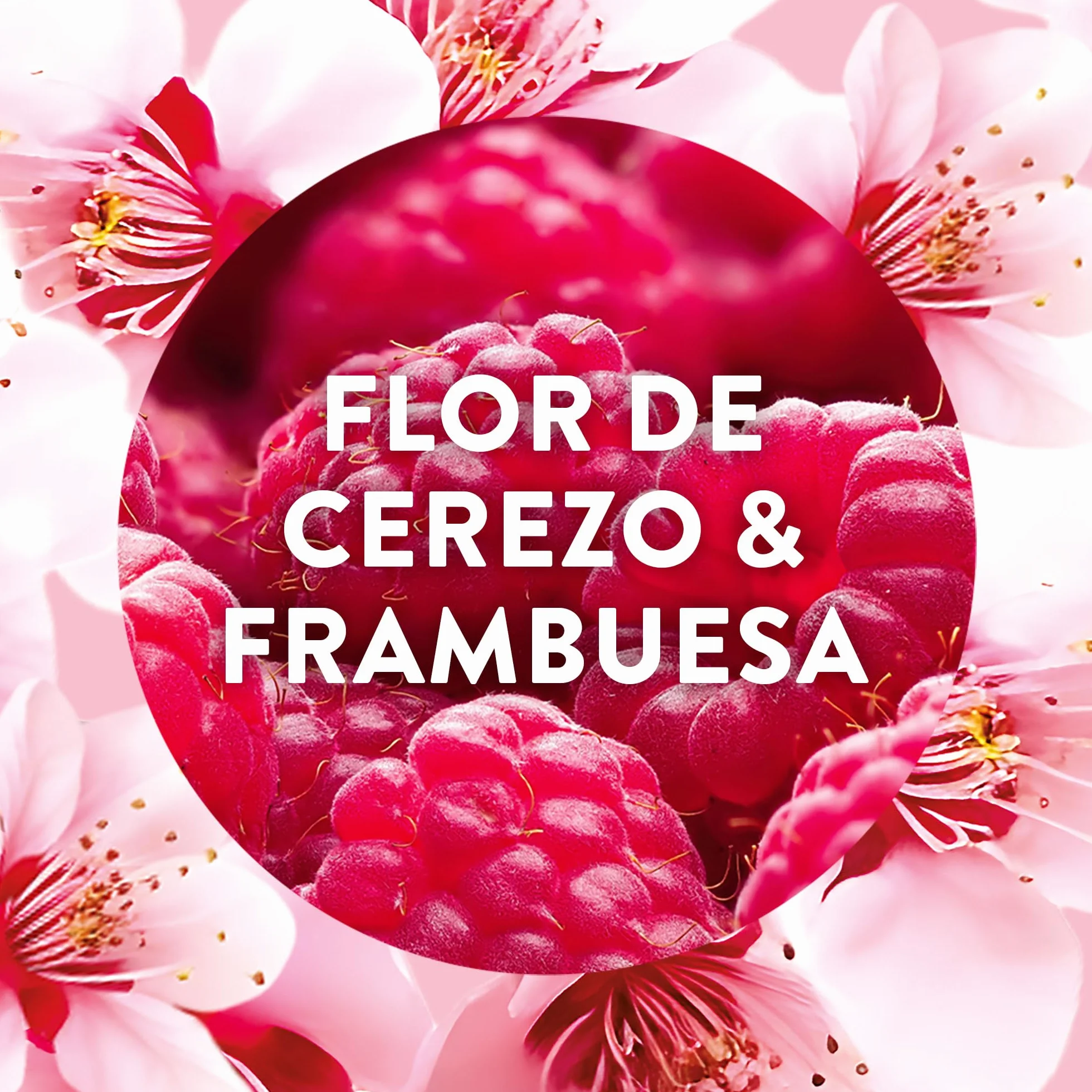 Air Wick Recambio Ambientador Eléctrico Flor de Cerezo Frambuesa