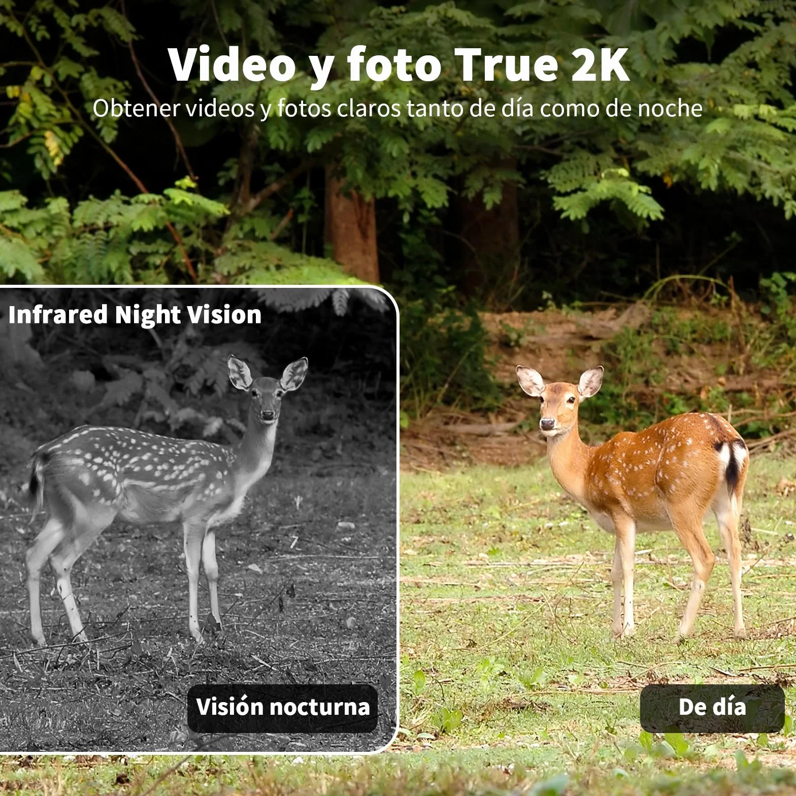 4G Camara Vigilancia Exterior con Tarjeta SIM, 2K 360° Inalámbrico Solar Cámara con 30M Visión Nocturna Color, Detección de Movimiento, Audio Bidireccional, IP66 Impermeable
